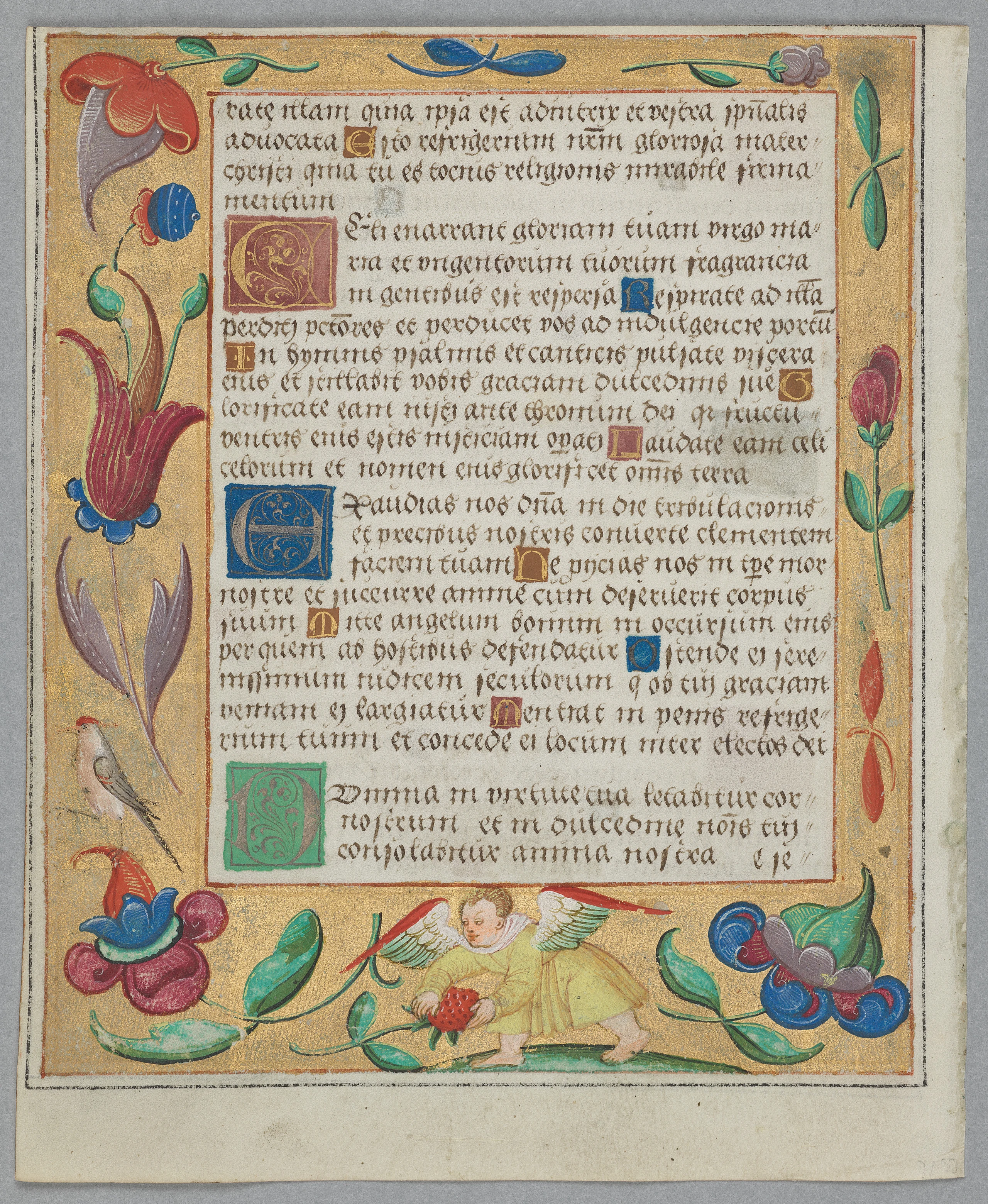 Leaf from a Psalter and Prayerbook: Putto Picking Strawberries (verso)