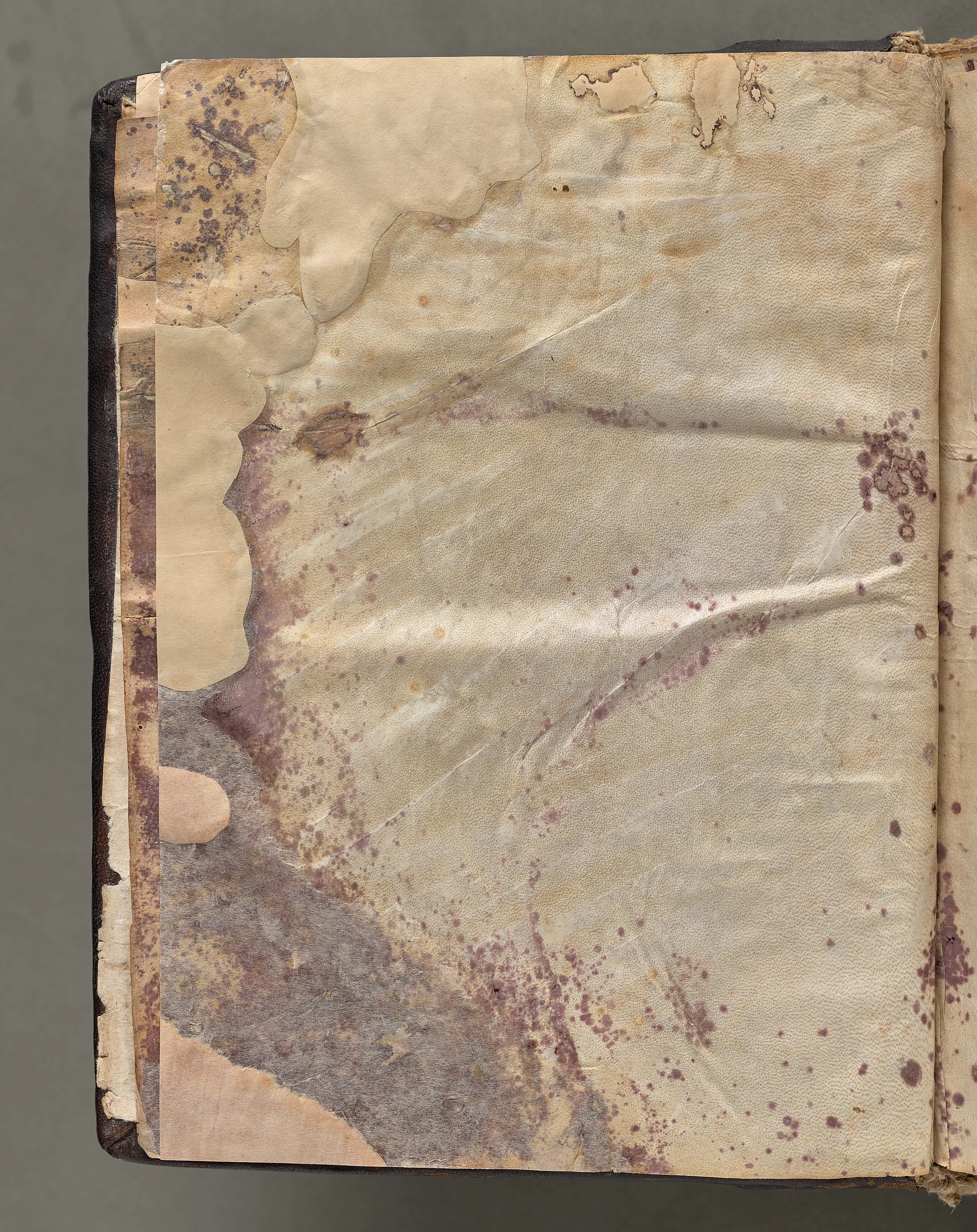 Text, folio 4 (verso), from a Gospel Book with Commentaries