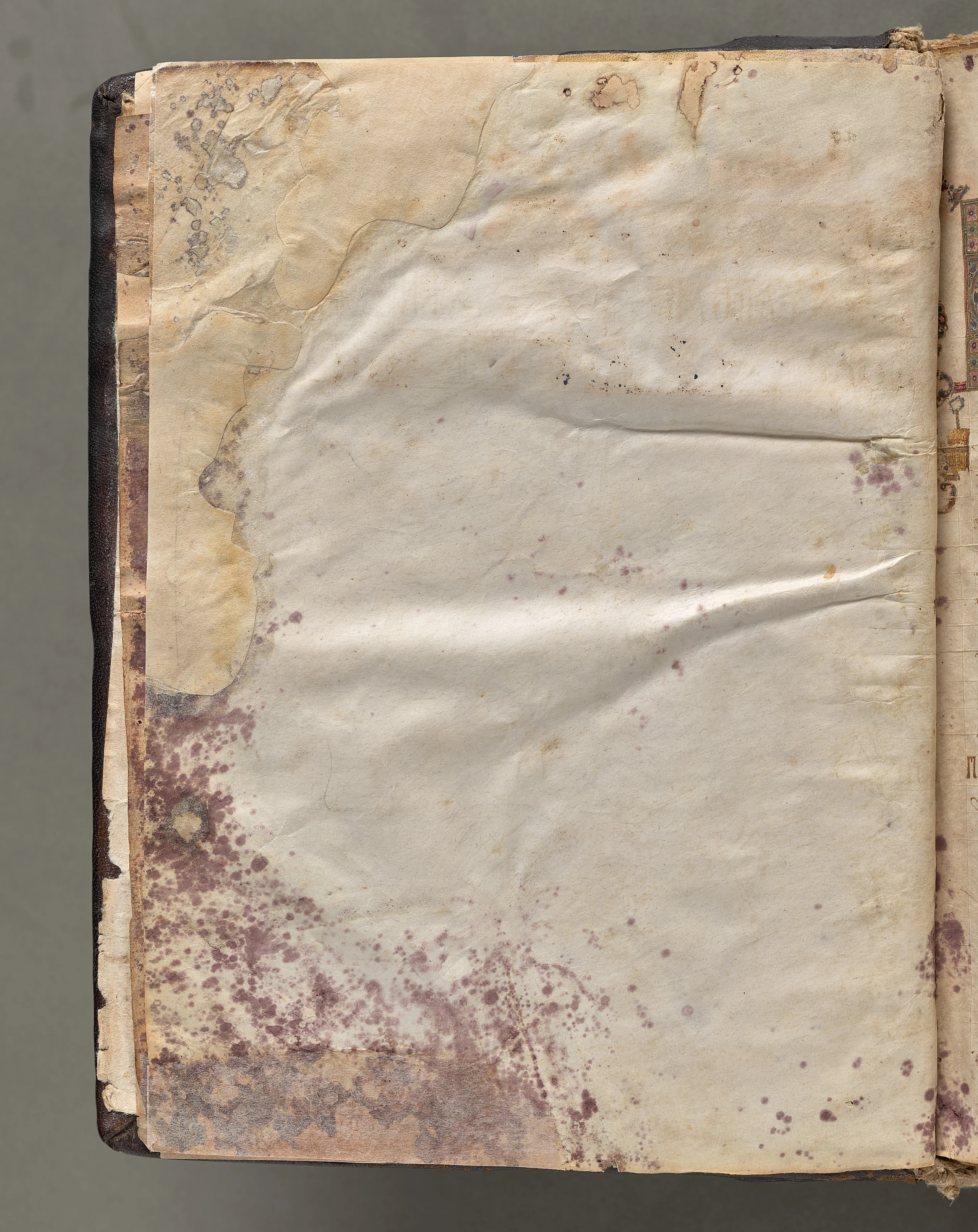Text, folio 5 (verso), from a Gospel Book with Commentaries