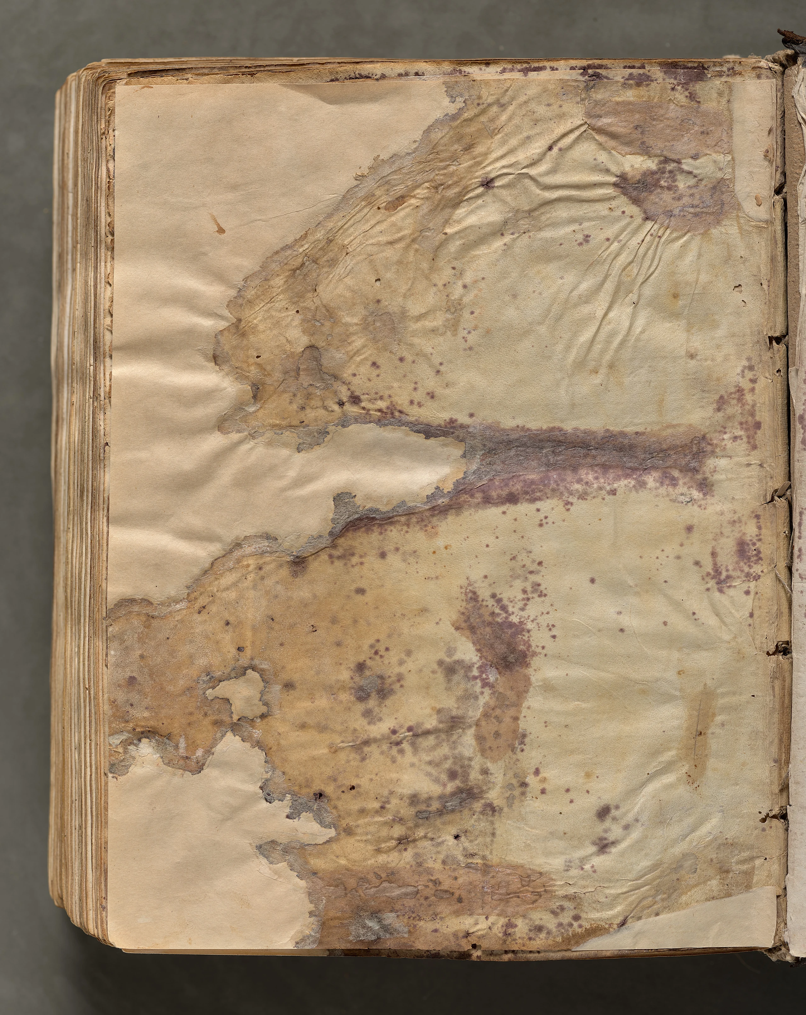 Text, folio 427 (verso), from a Gospel Book with Commentaries