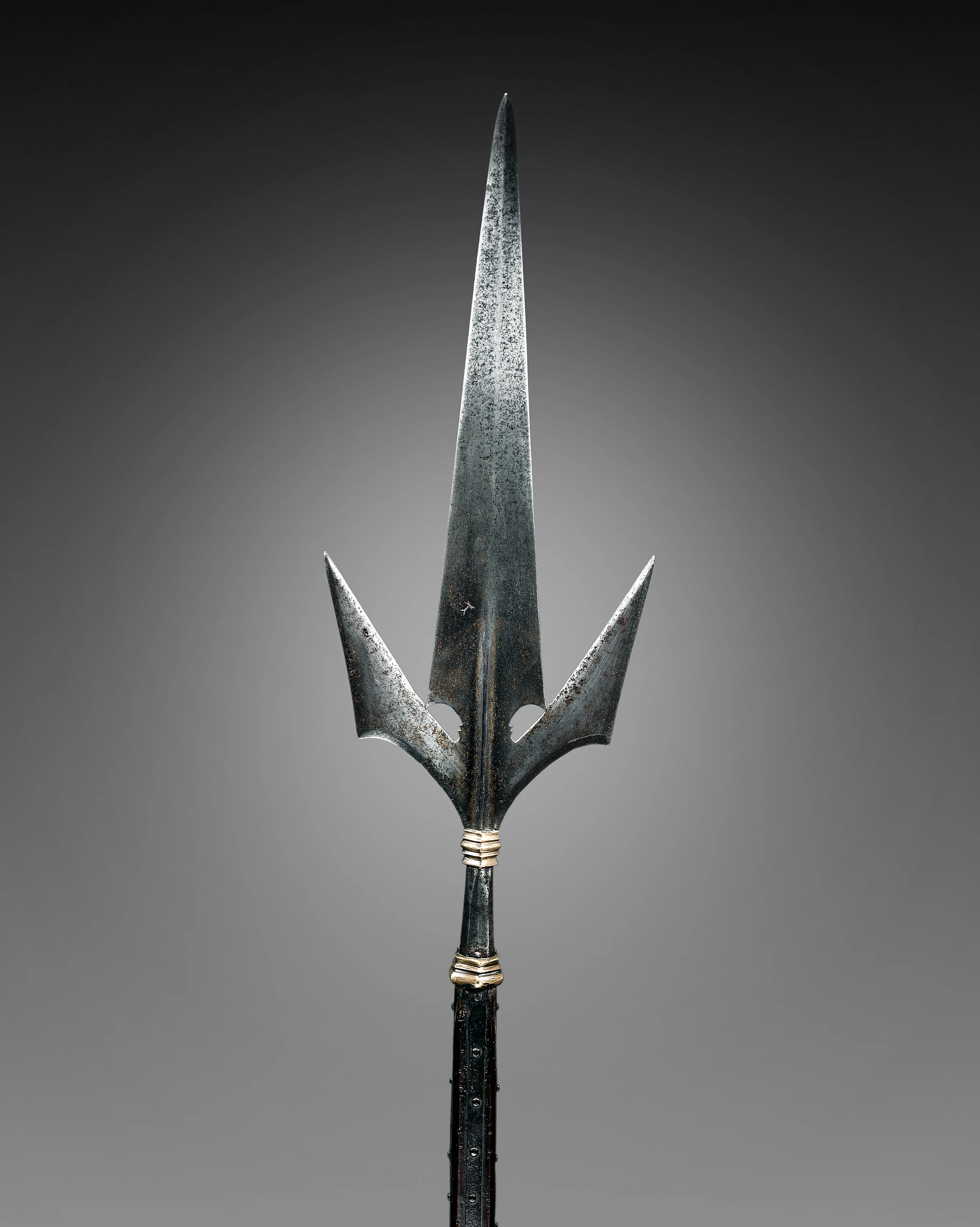 Corsèque (Chauve-Souris)