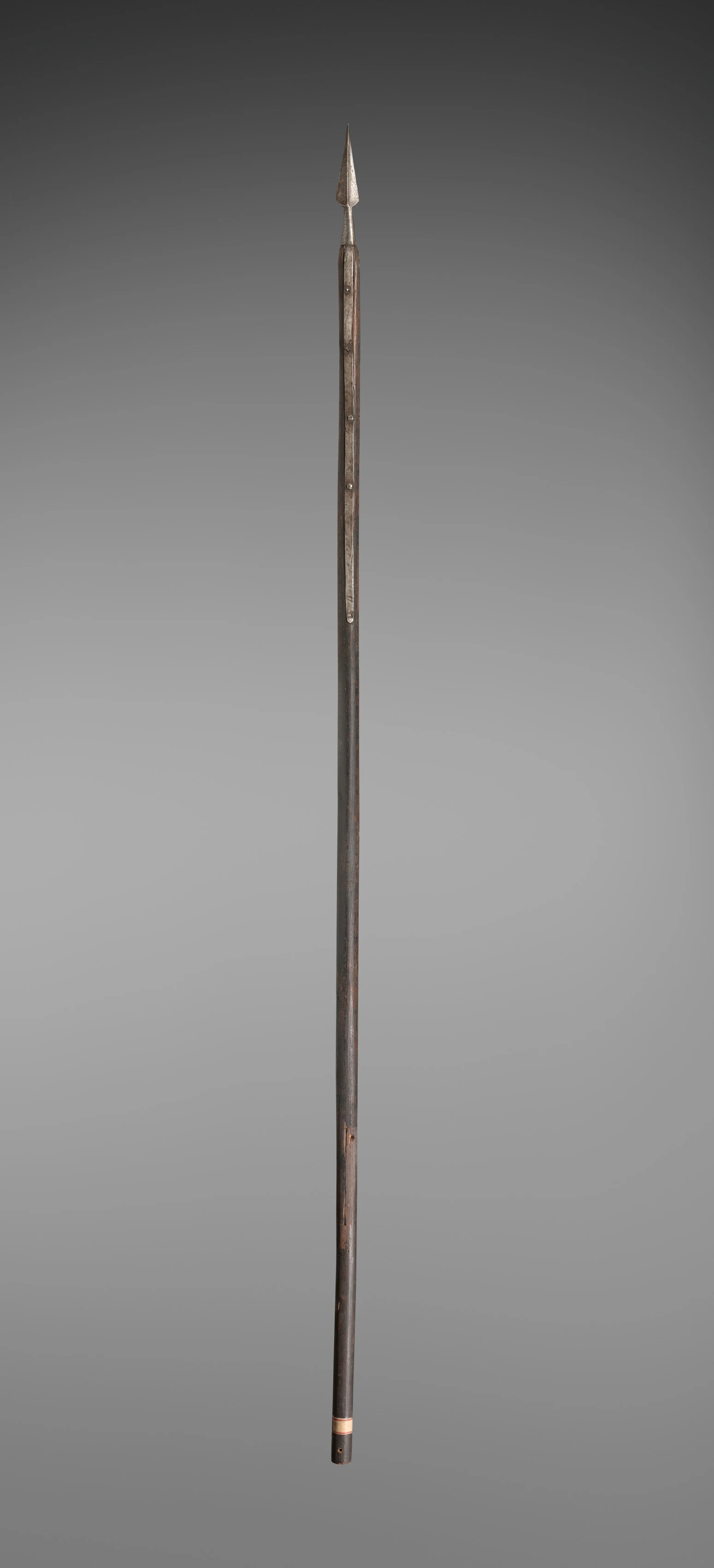 Banner With the Lion of St. Mark (pole)