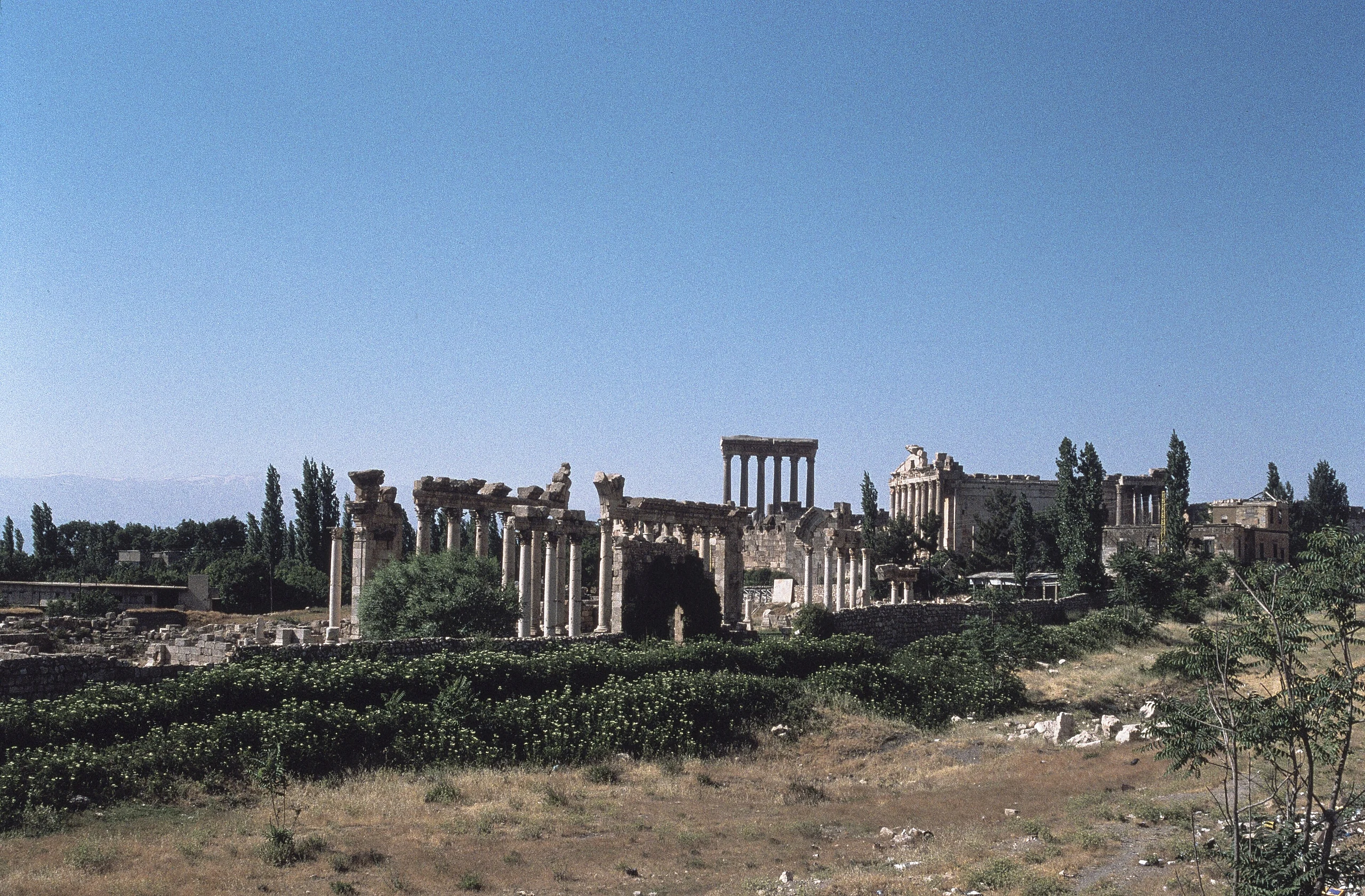 Baalbek (بعلبك), Lebanon–General view from the south–PHBZ024 2016 3197–Dumbarton Oaks
