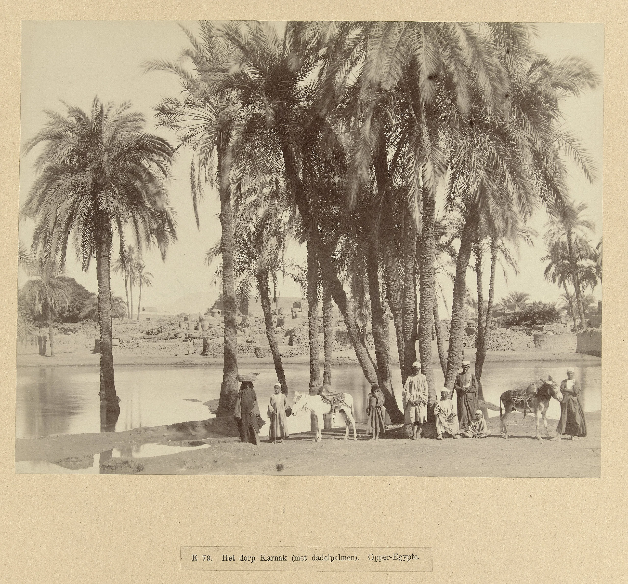 Oase met dadelpalmen in Karnak. E 79. Het dorp Karnak (met dadelpalmen). Opper-Egypte (titel op object)Objecttype: fo
