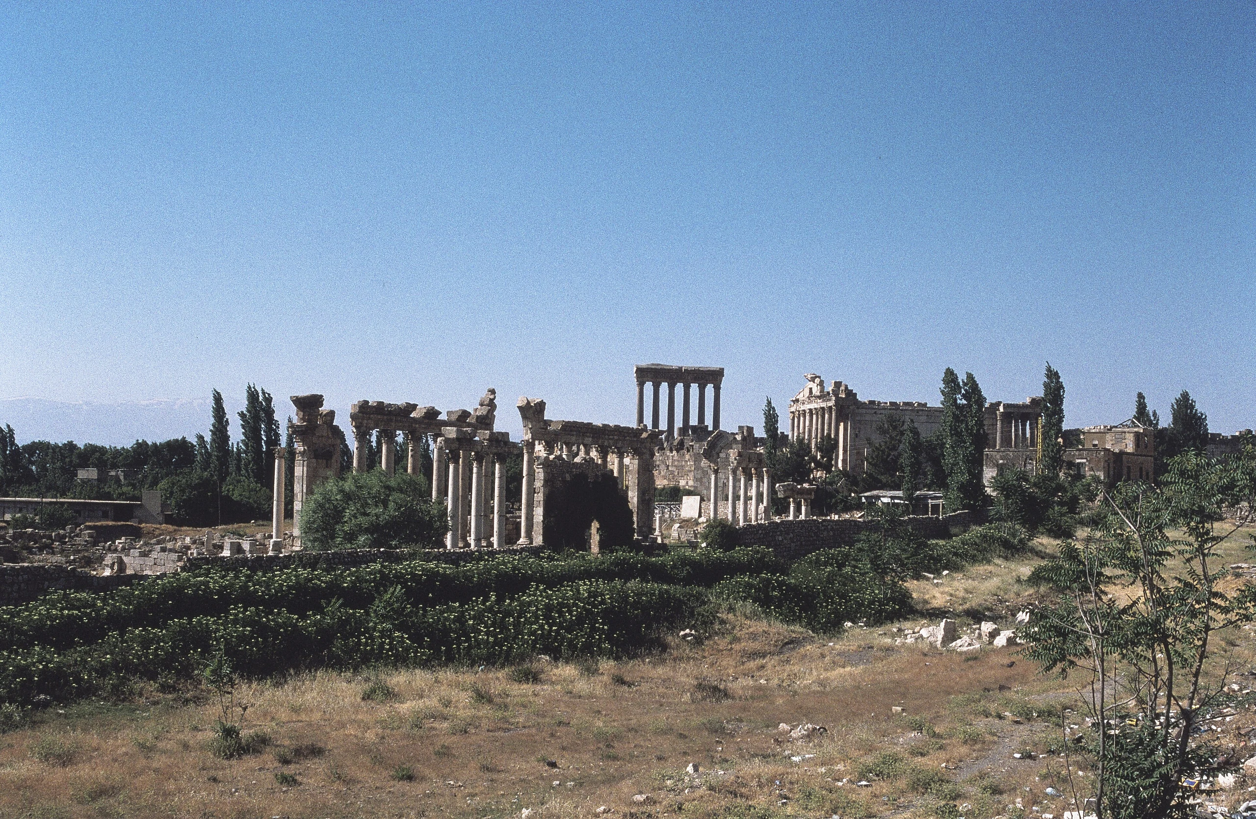 Baalbek (بعلبك), Lebanon–General view from the south–PHBZ024 2016 3196–Dumbarton Oaks