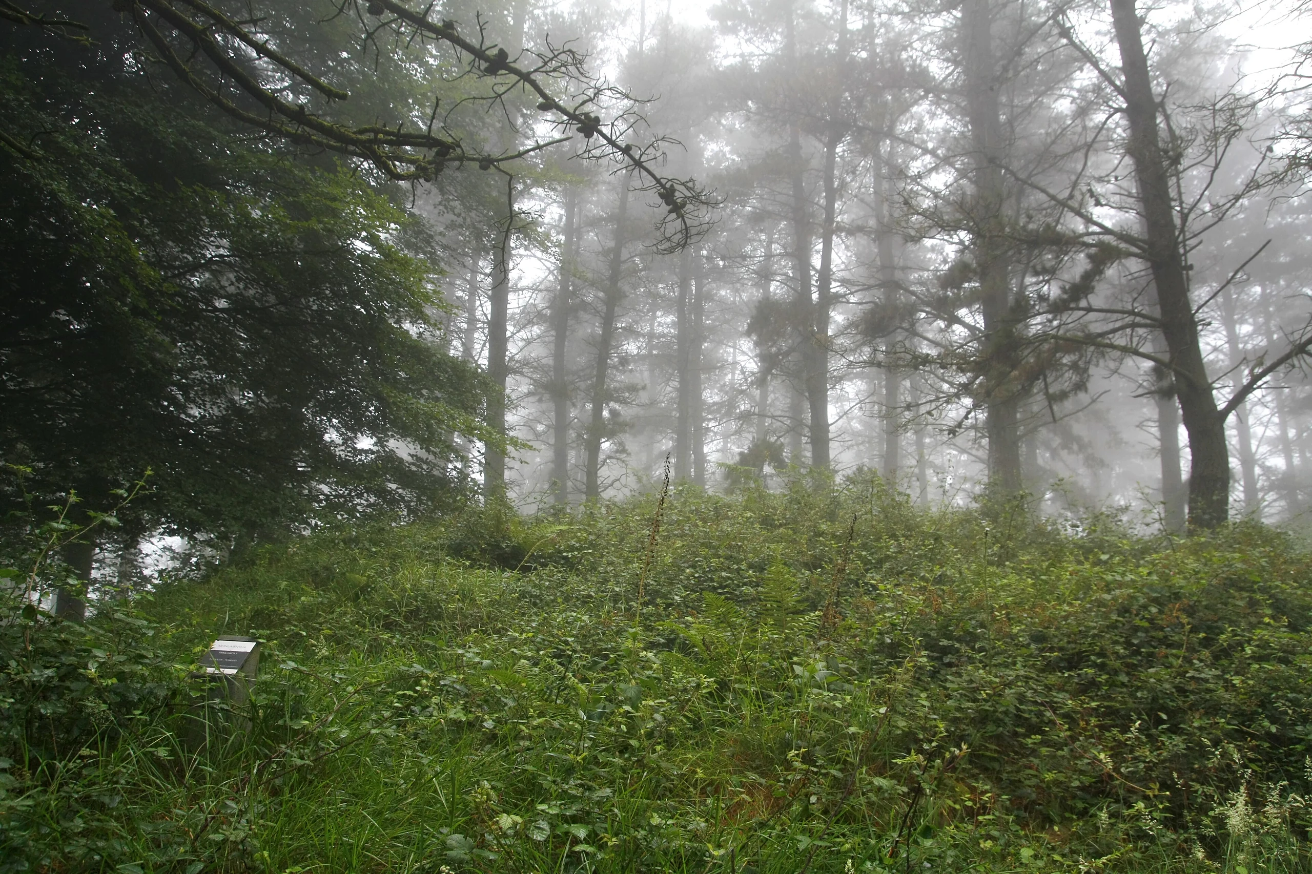 Trikuaizti I trikuharria