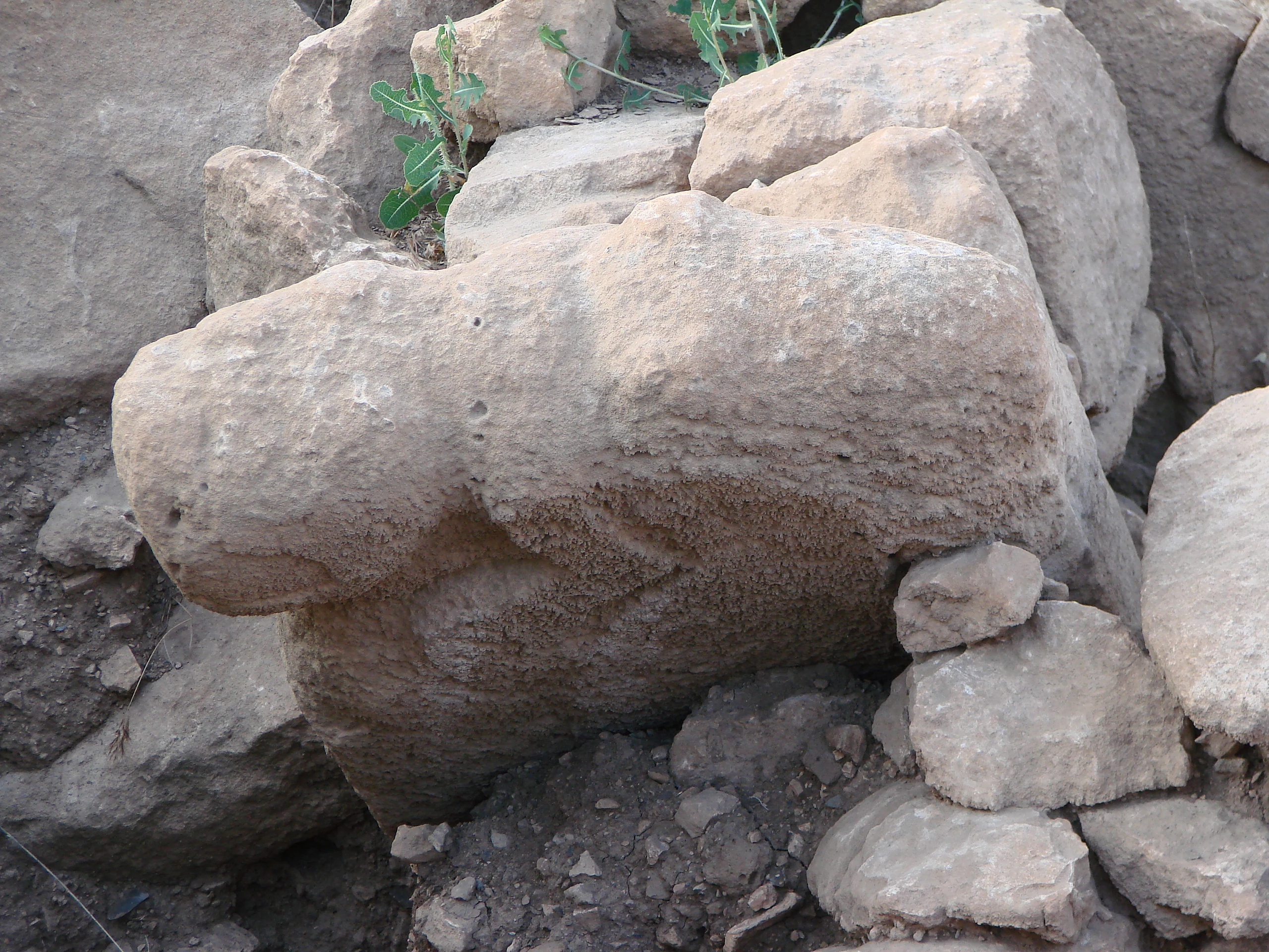 Göbekli Tepe Animal Entrance