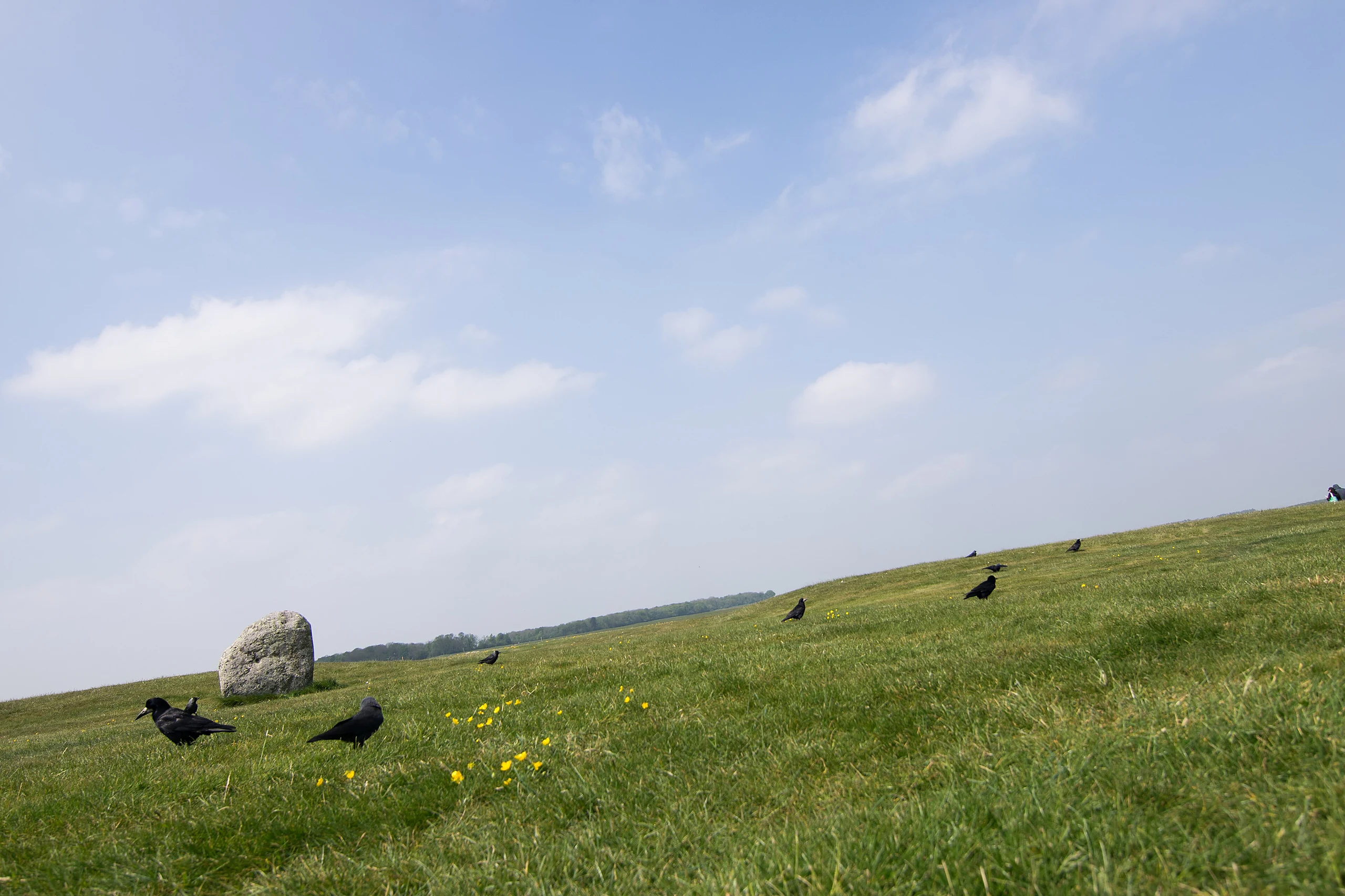 2017-05 Stonehenge