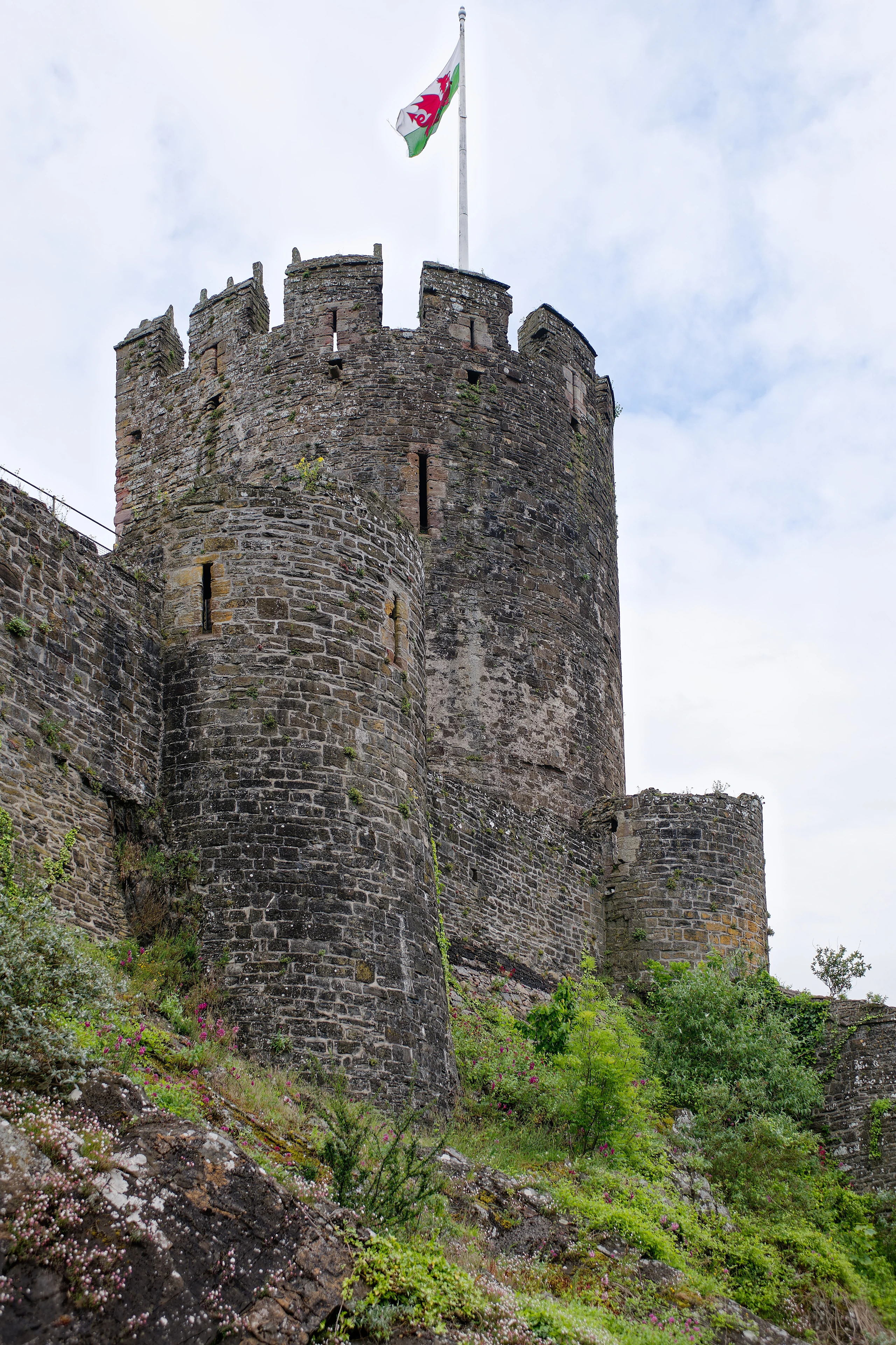 Conwy Castle, North-West Tower, seen from the North-East