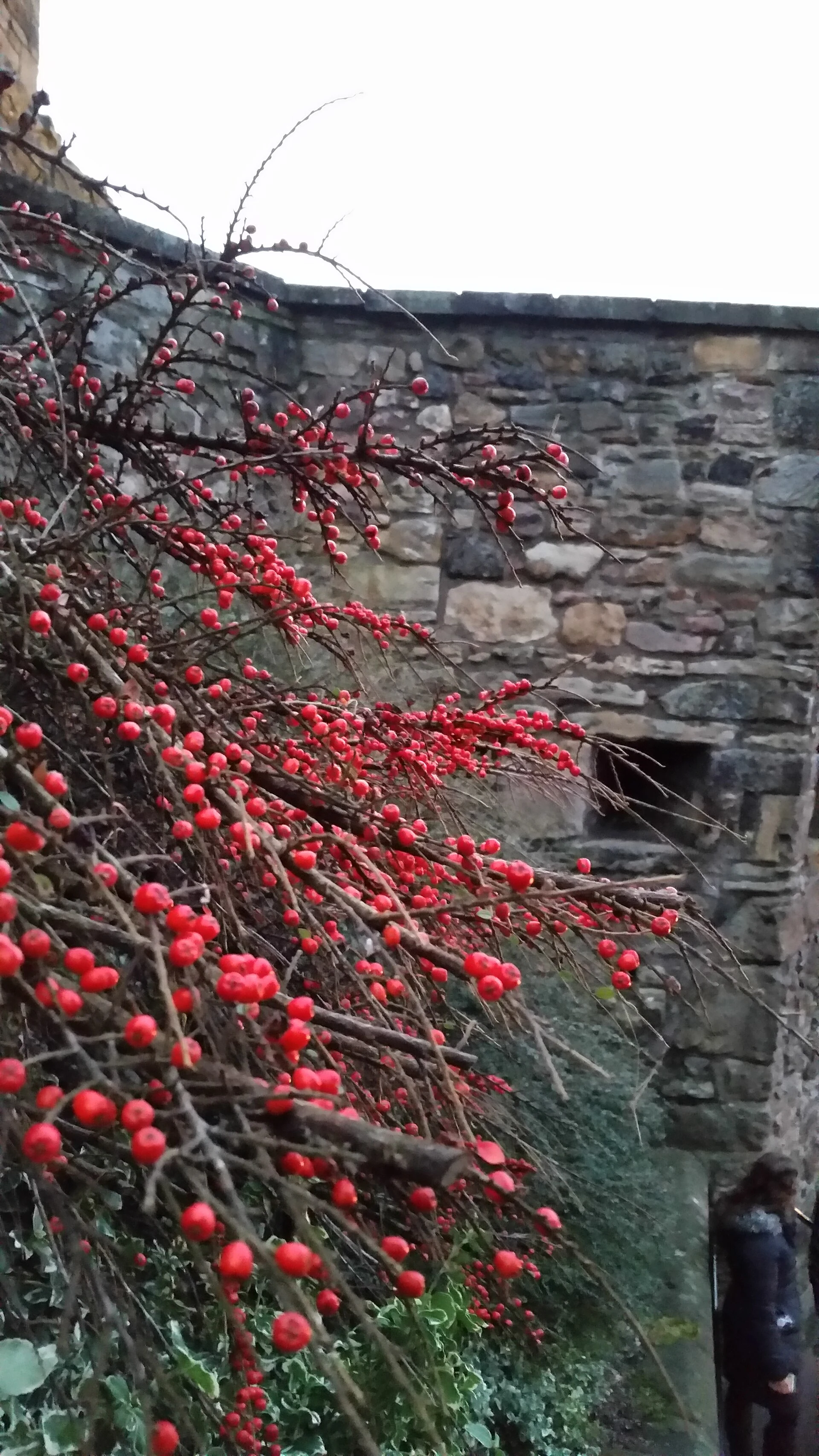 Colours at Edinburgh Castle