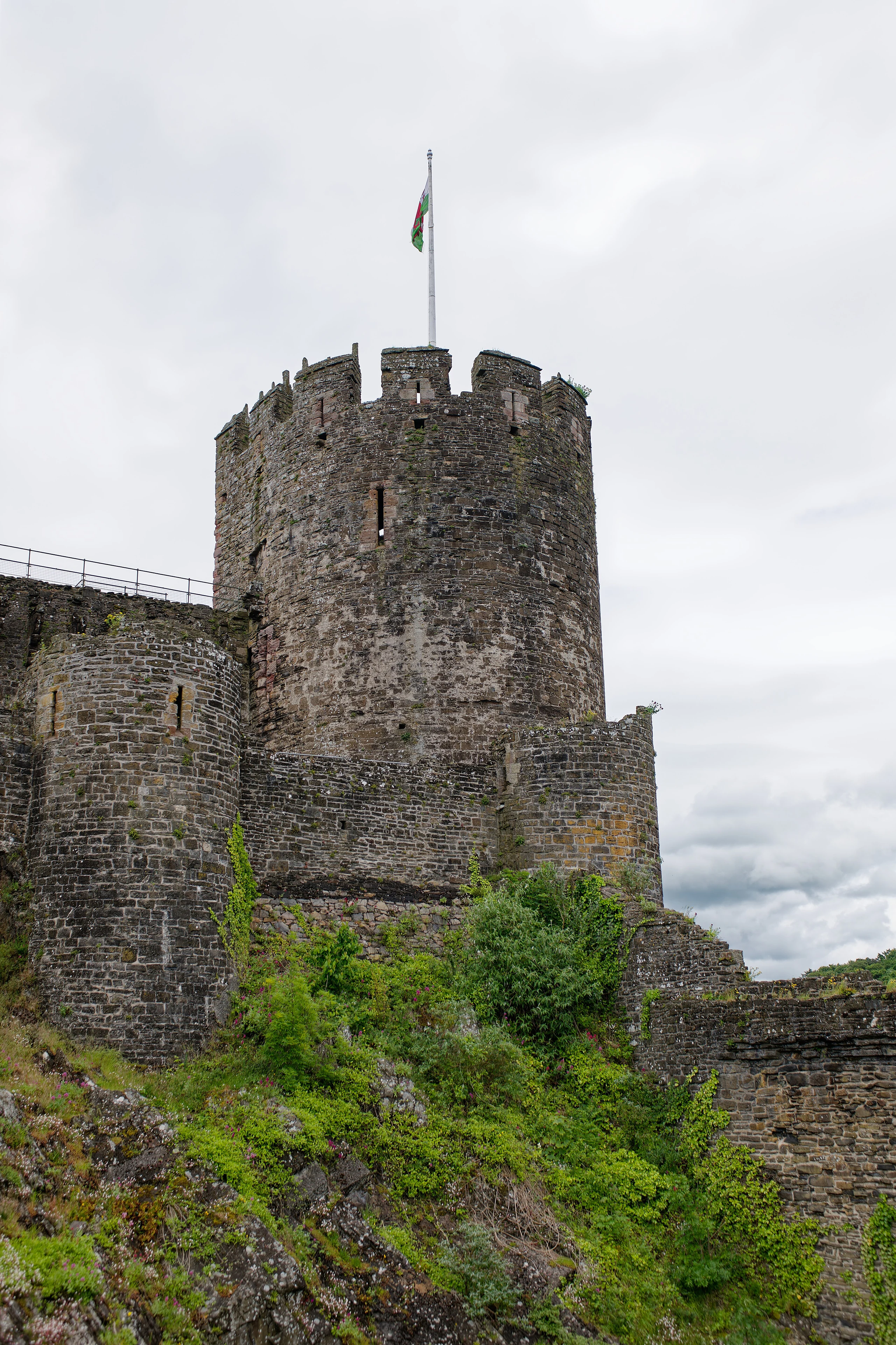 Conwy Castle, South-West Tower, seen from the West