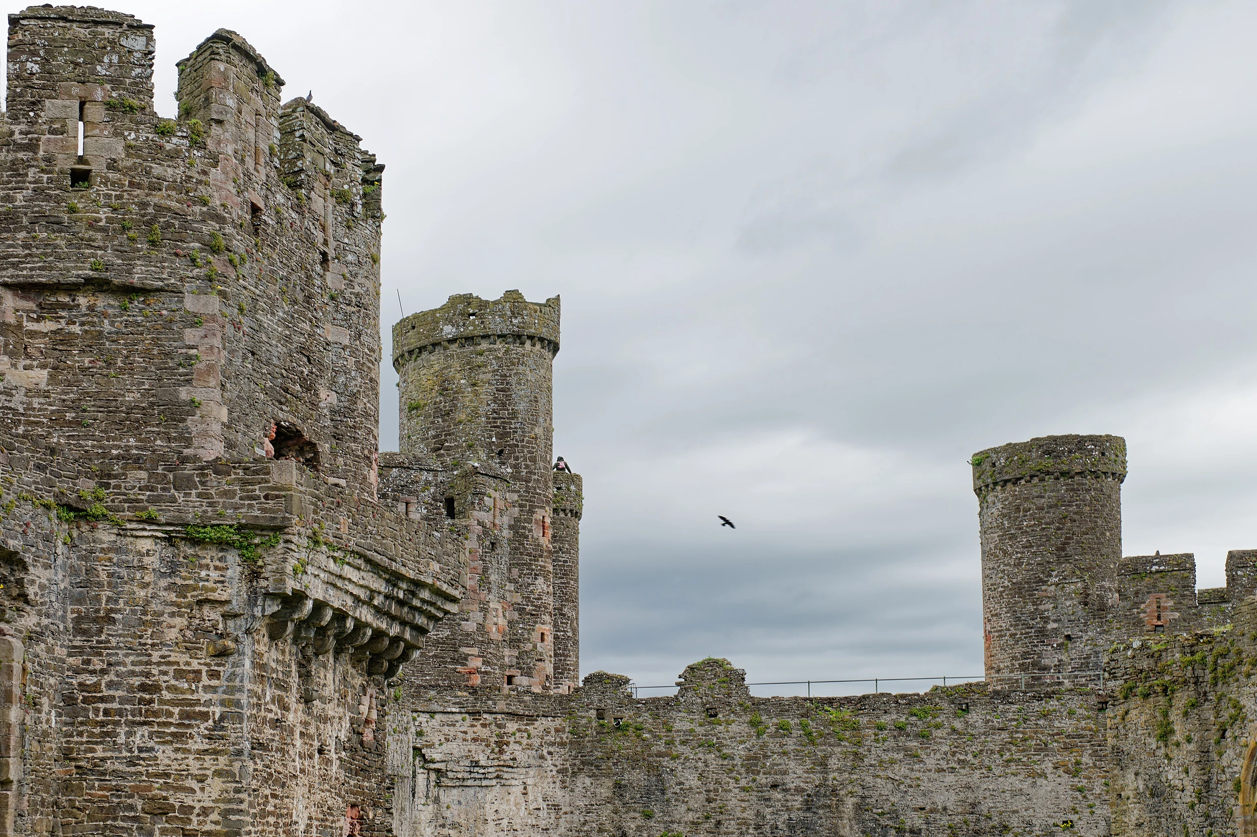 Conwy Castle, inside, seen from the West