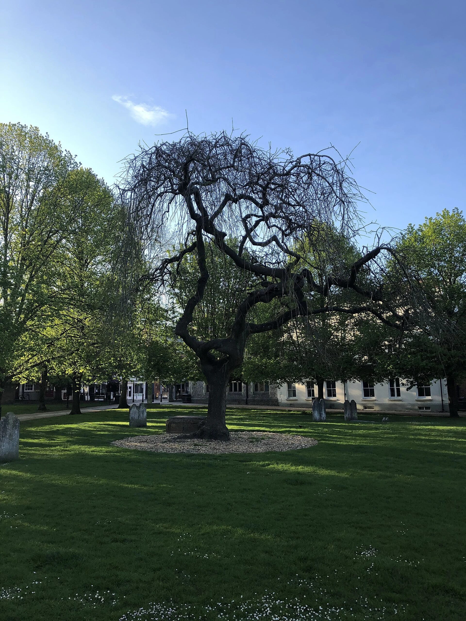 Hampshire - Winchester Cathedral