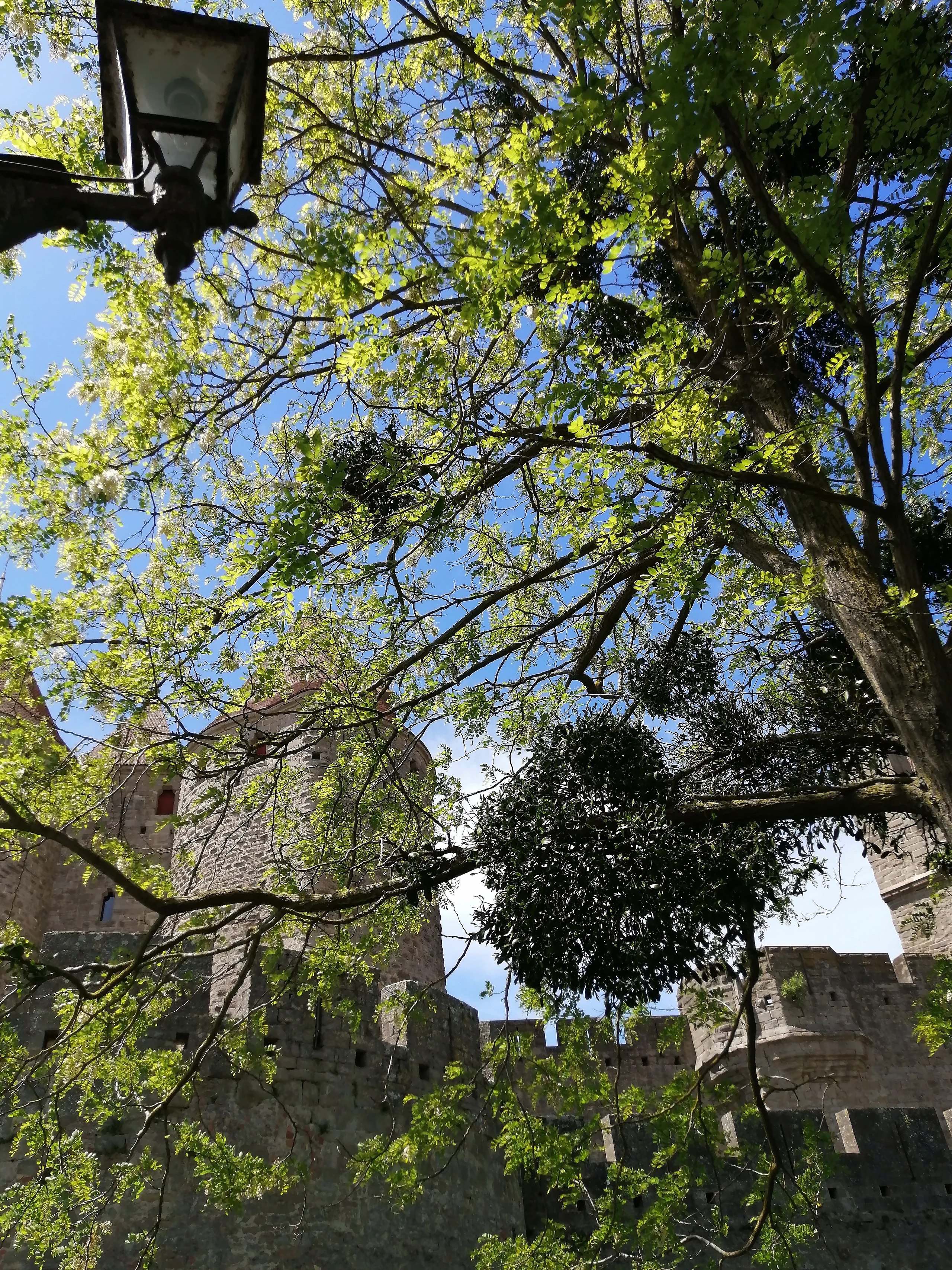 Cité de Carcassonne au candélabre