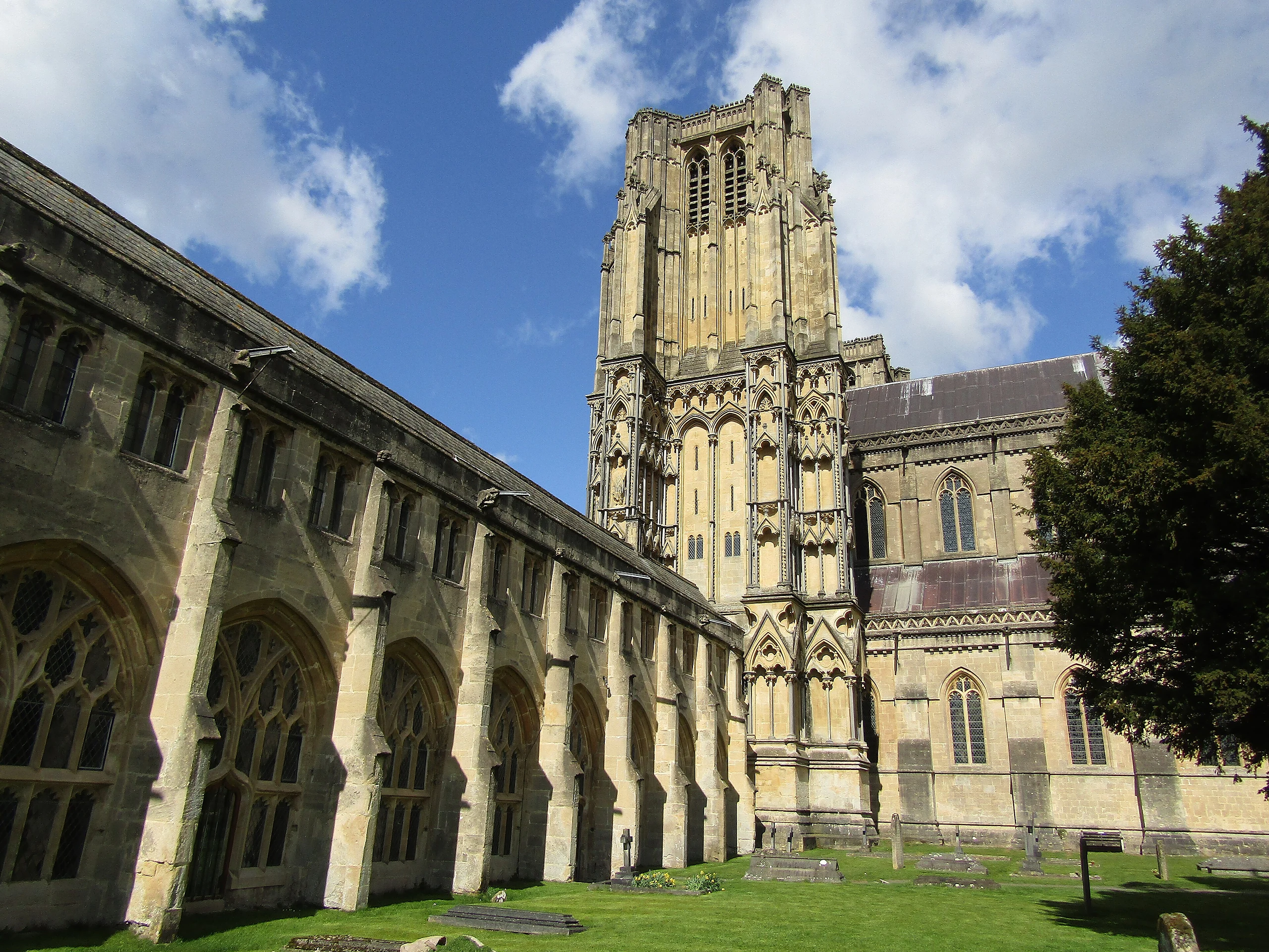Wells Cathedral - Palm Churchyard