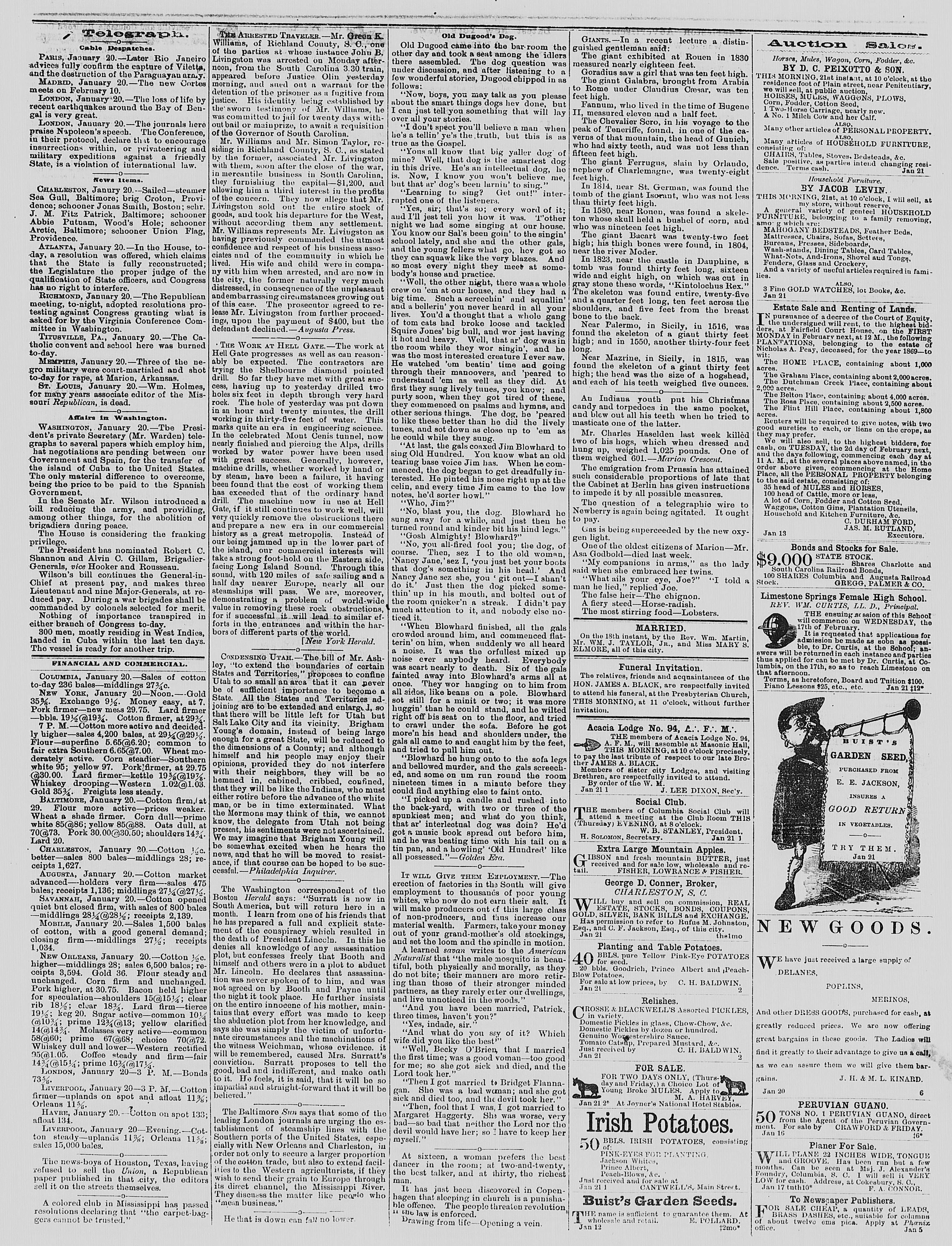 Image 3 of The daily phoenix (Columbia, S.C.), January 21, 1869