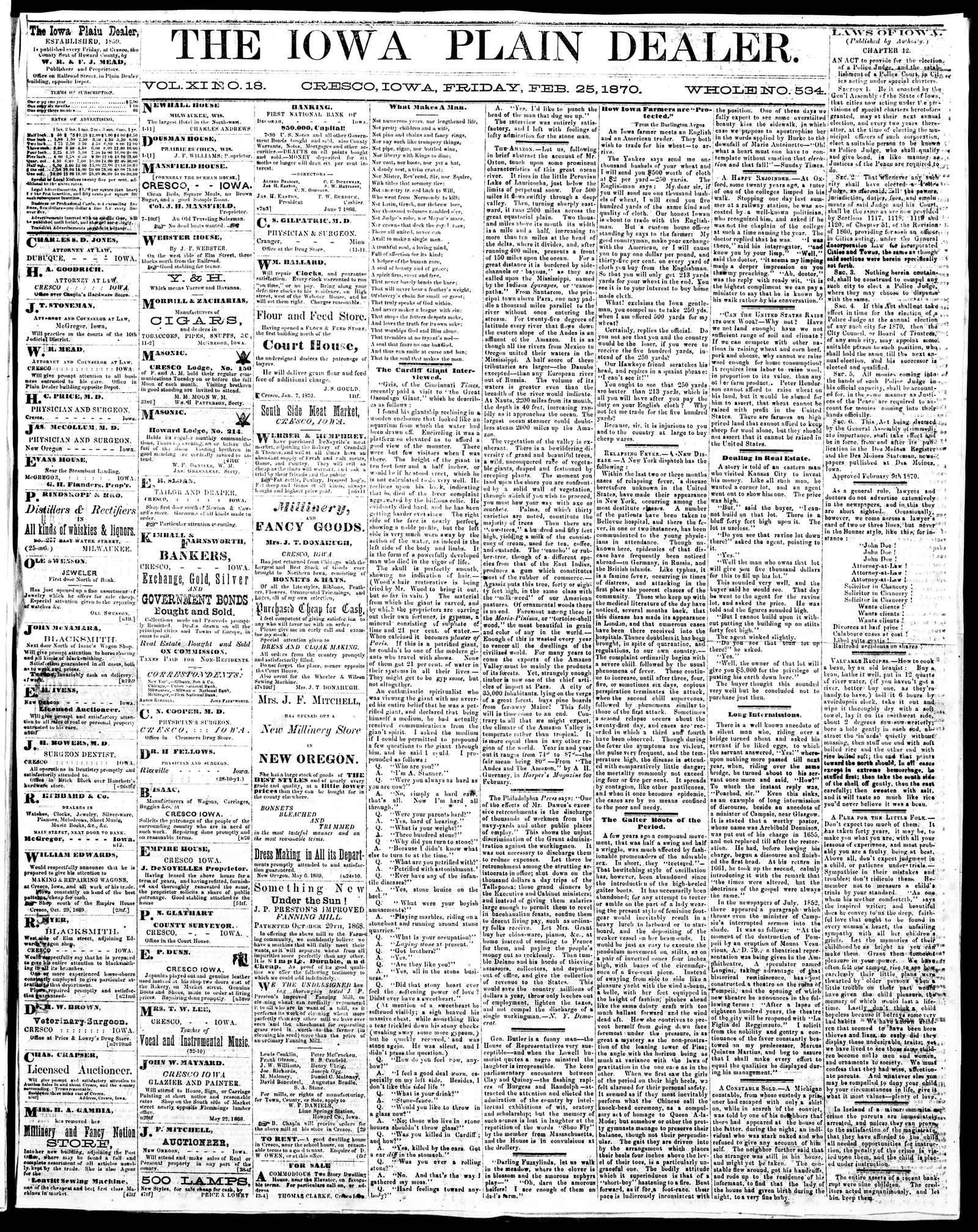 Image 1 of The Iowa plain dealer (New Oregon, Howard County, Iowa), February 25, 1870