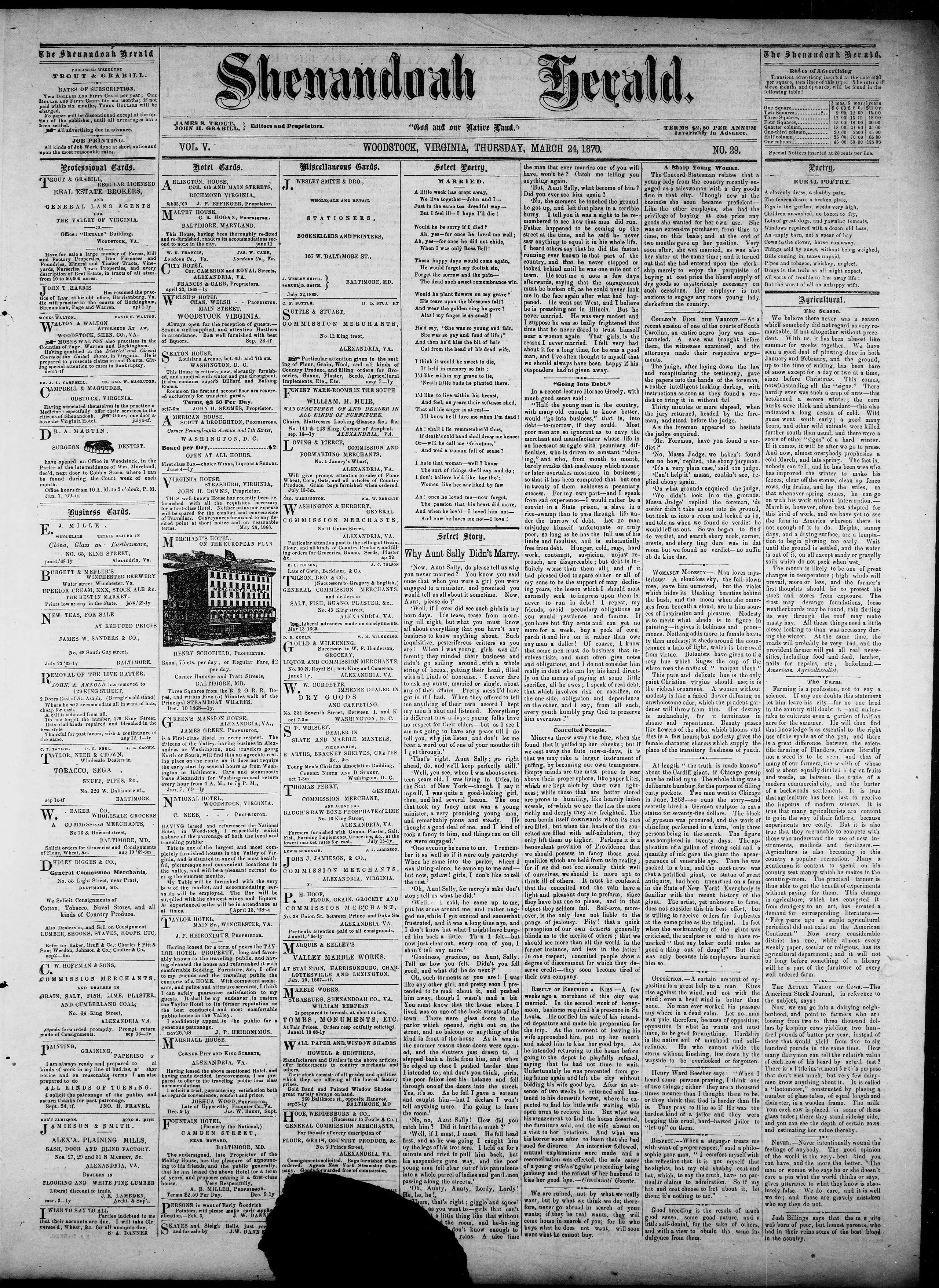 Image 1 of Shenandoah herald (Woodstock, Va.), March 24, 1870