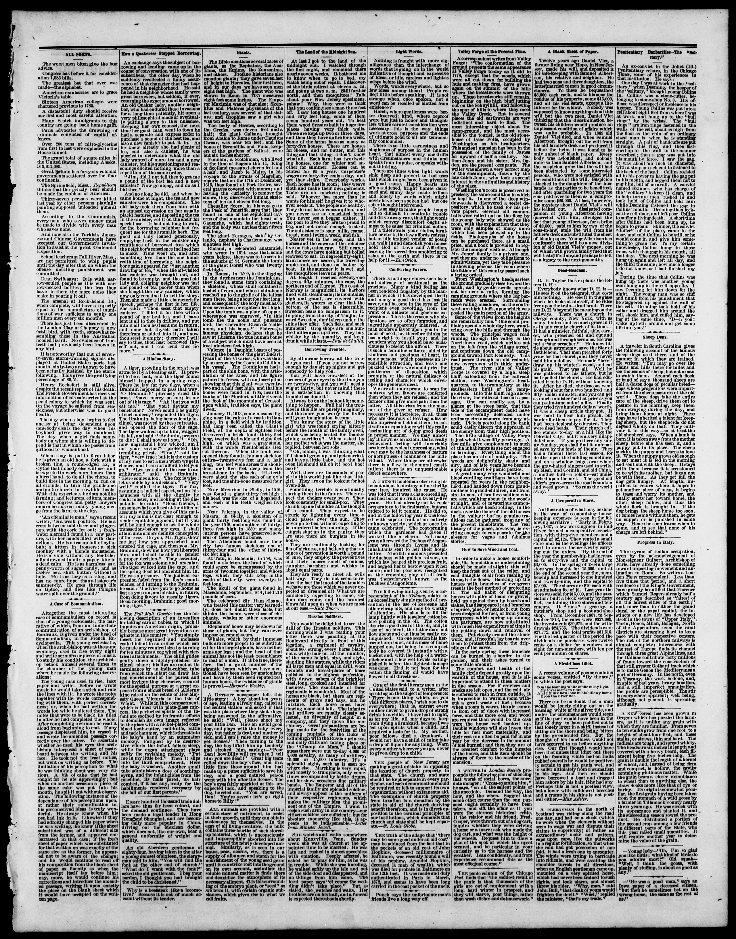 Image 3 of The Lake County star (Chase, Mich.), February 5, 1874