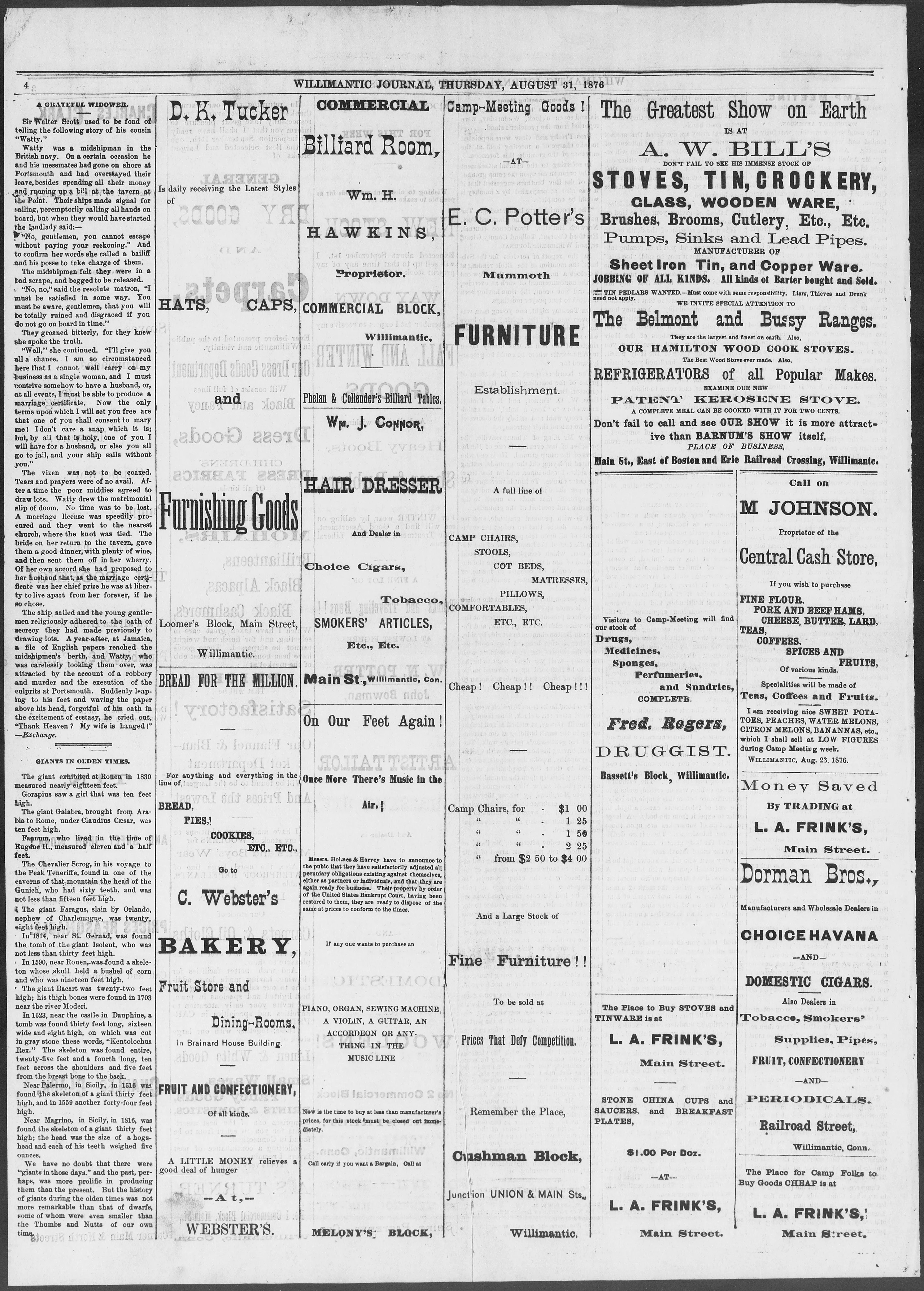 Image 4 of The Willimantic journal (Willimantic, Conn.), August 31, 1876