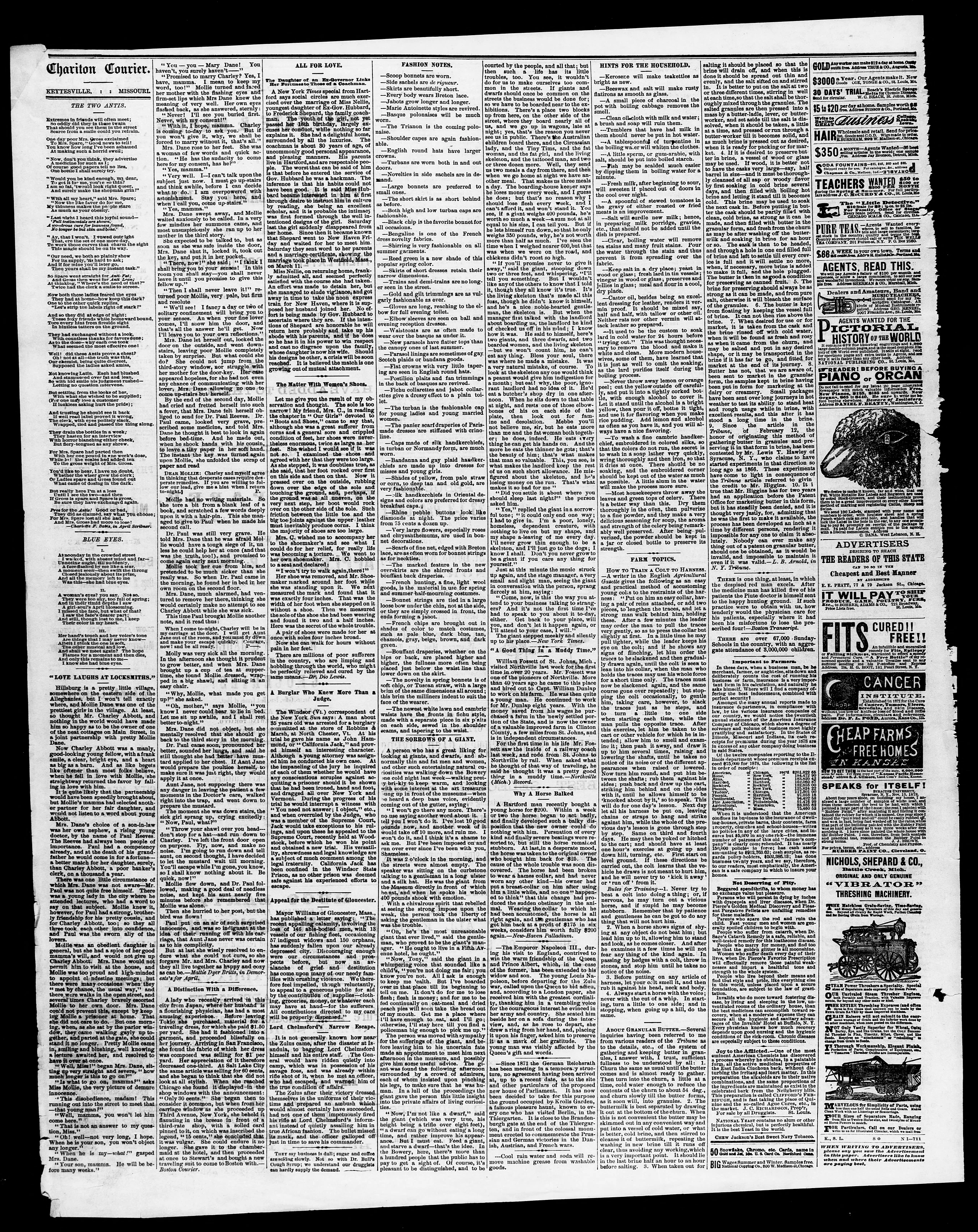 Image 4 of Chariton courier (Keytesville, Chariton County, Mo.), April 5, 1879