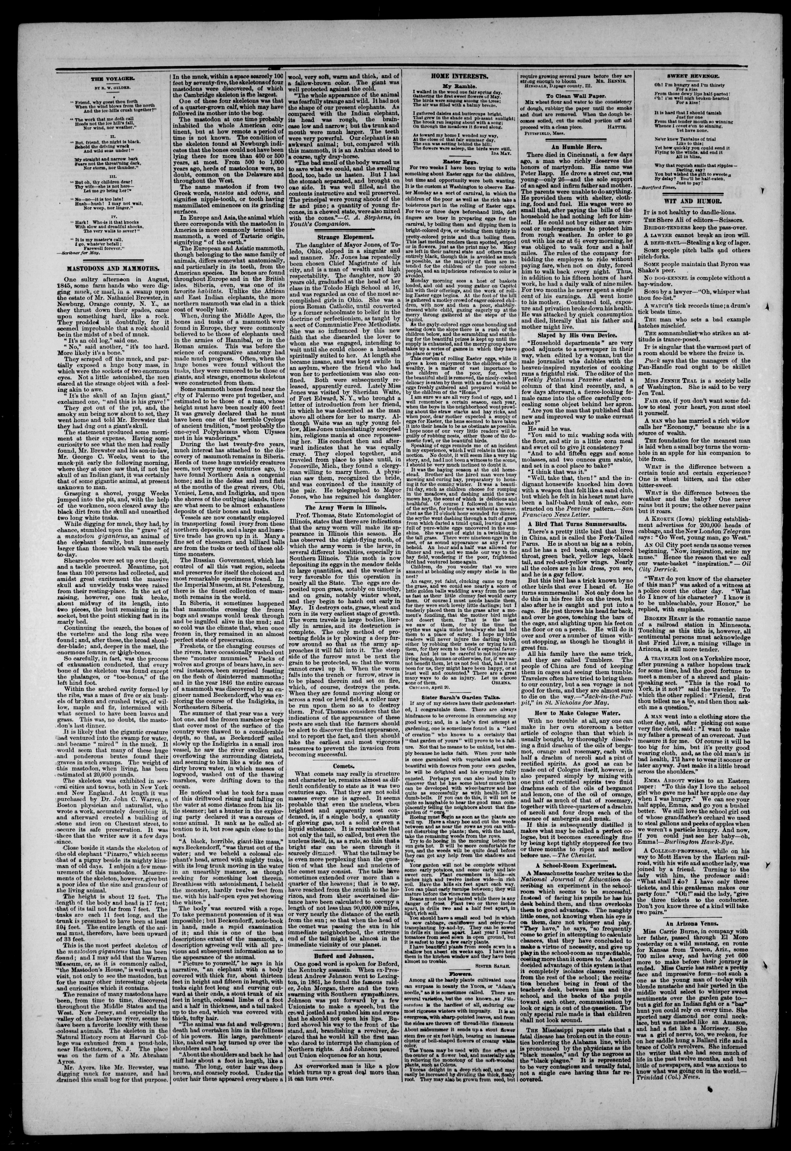 Image 6 of The true northerner (Paw Paw, Mich.), May 2, 1879