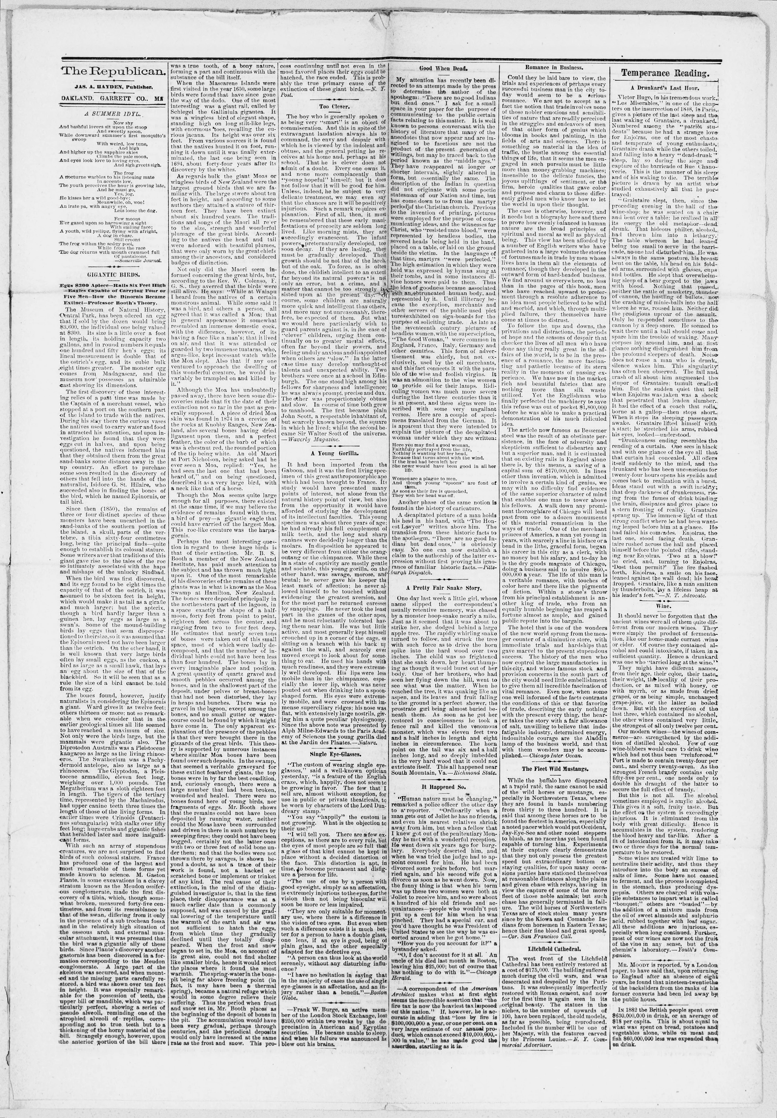 Image 3 of The Republican (Oakland, Md.), July 26, 1884