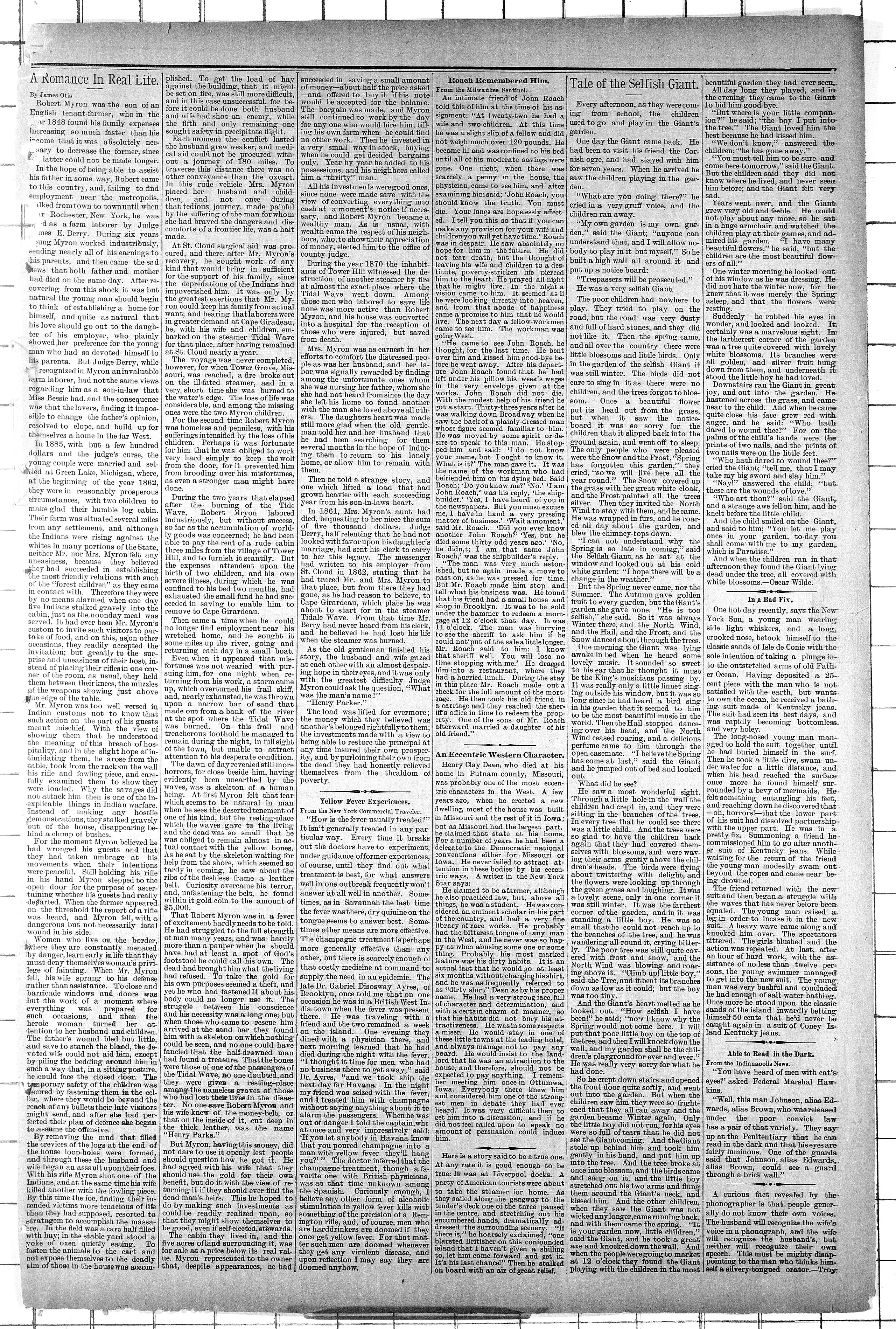 Image 7 of New Ulm weekly review (New Ulm, Minn.), October 3, 1888