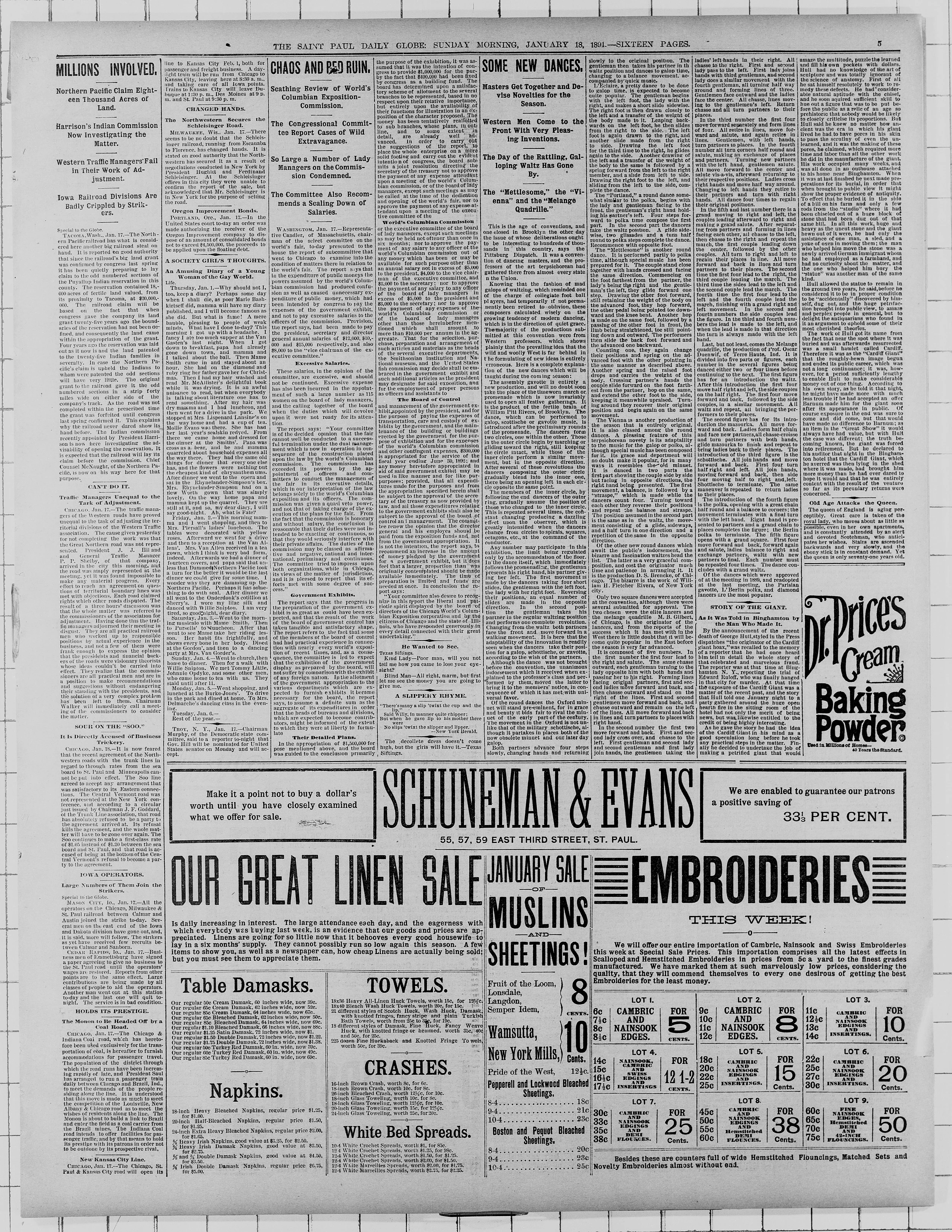 Image 5 of St. Paul daily globe (Saint Paul, Minn.), January 18, 1891