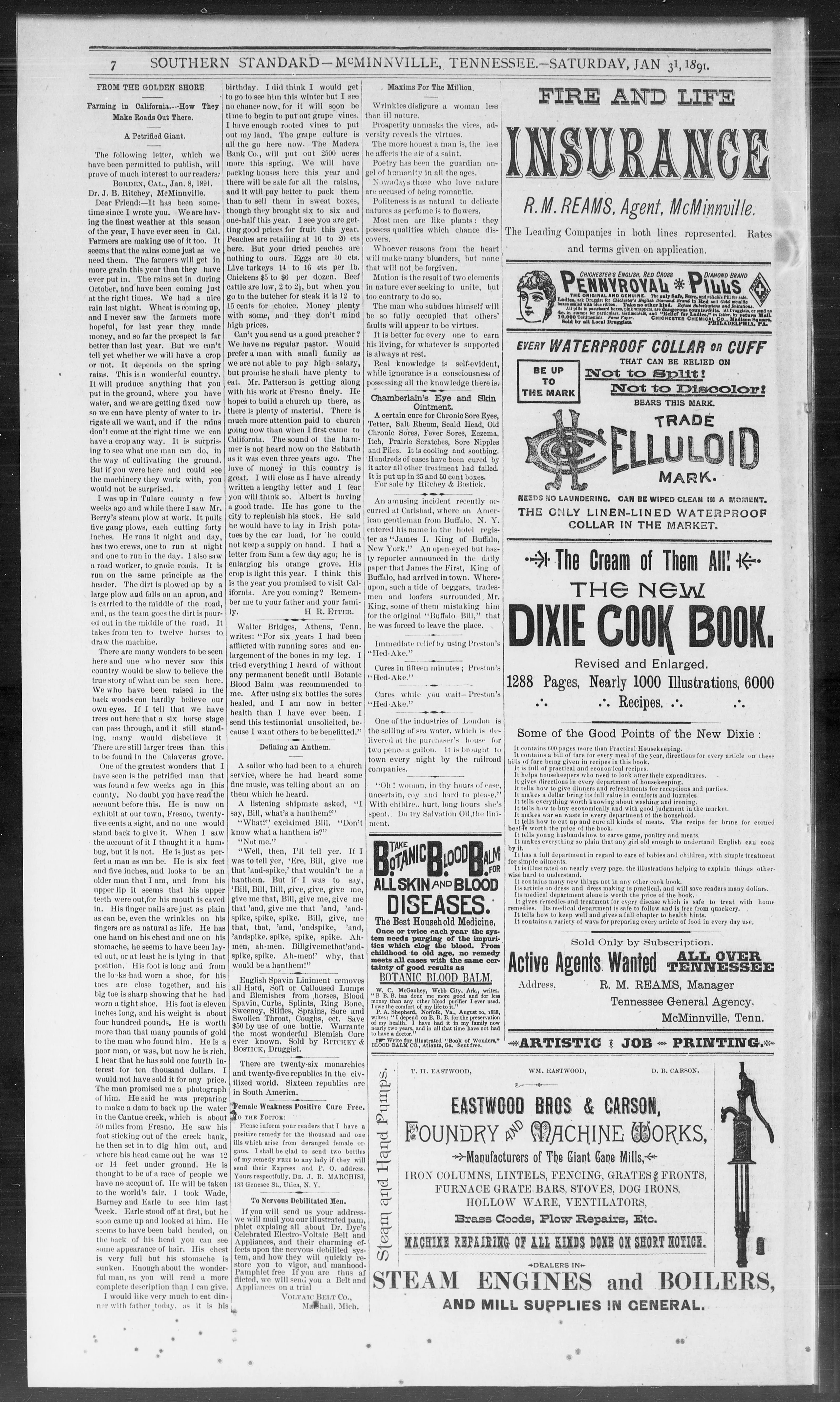 Image 6 of Southern standard (McMinnville, Tenn.), January 31, 1891