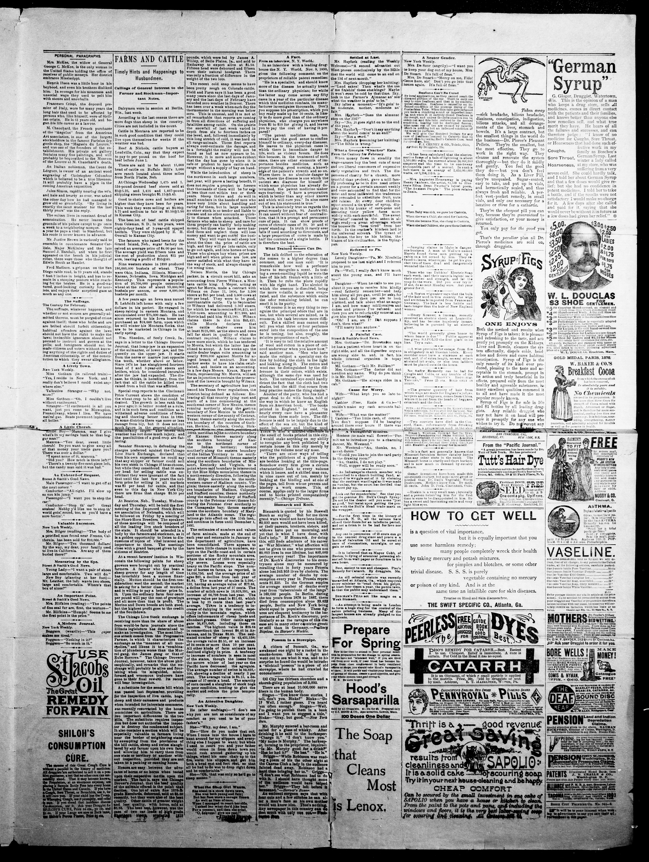 Image 3 of Custer weekly chronicle (Custer City, S.D.), February 28, 1891