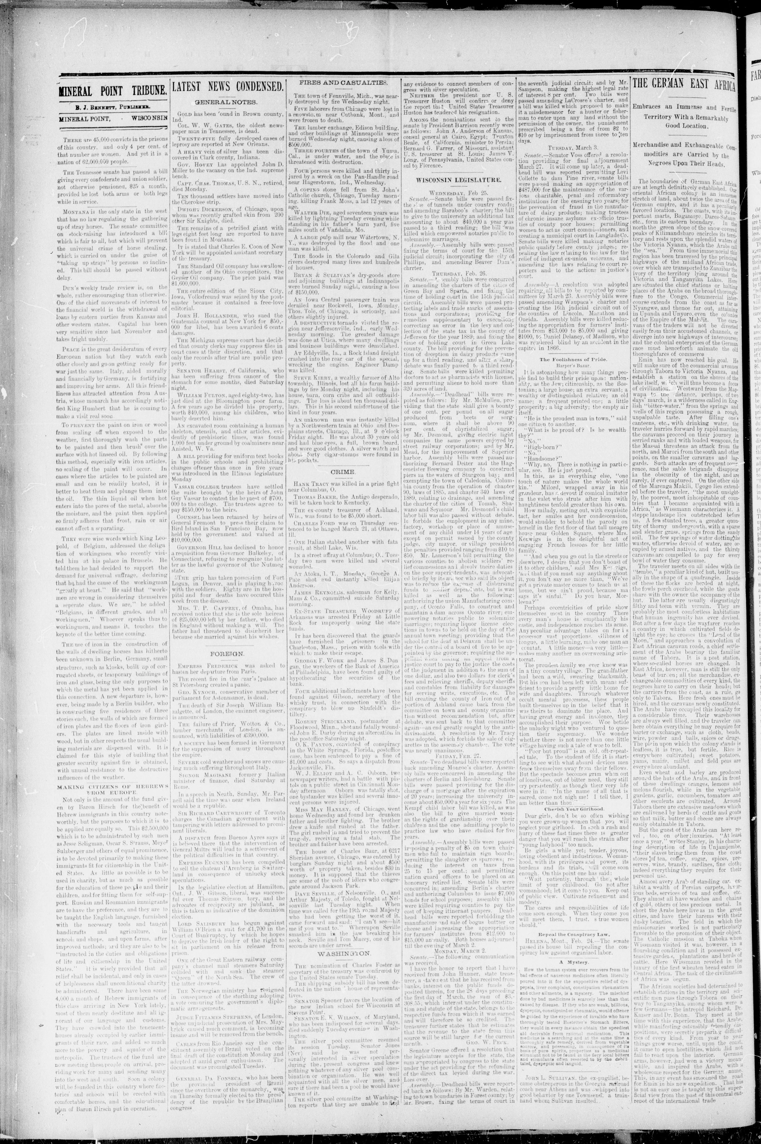Image 2 of Mineral Point tribune (Mineral Point, Wis.), March 7, 1891
