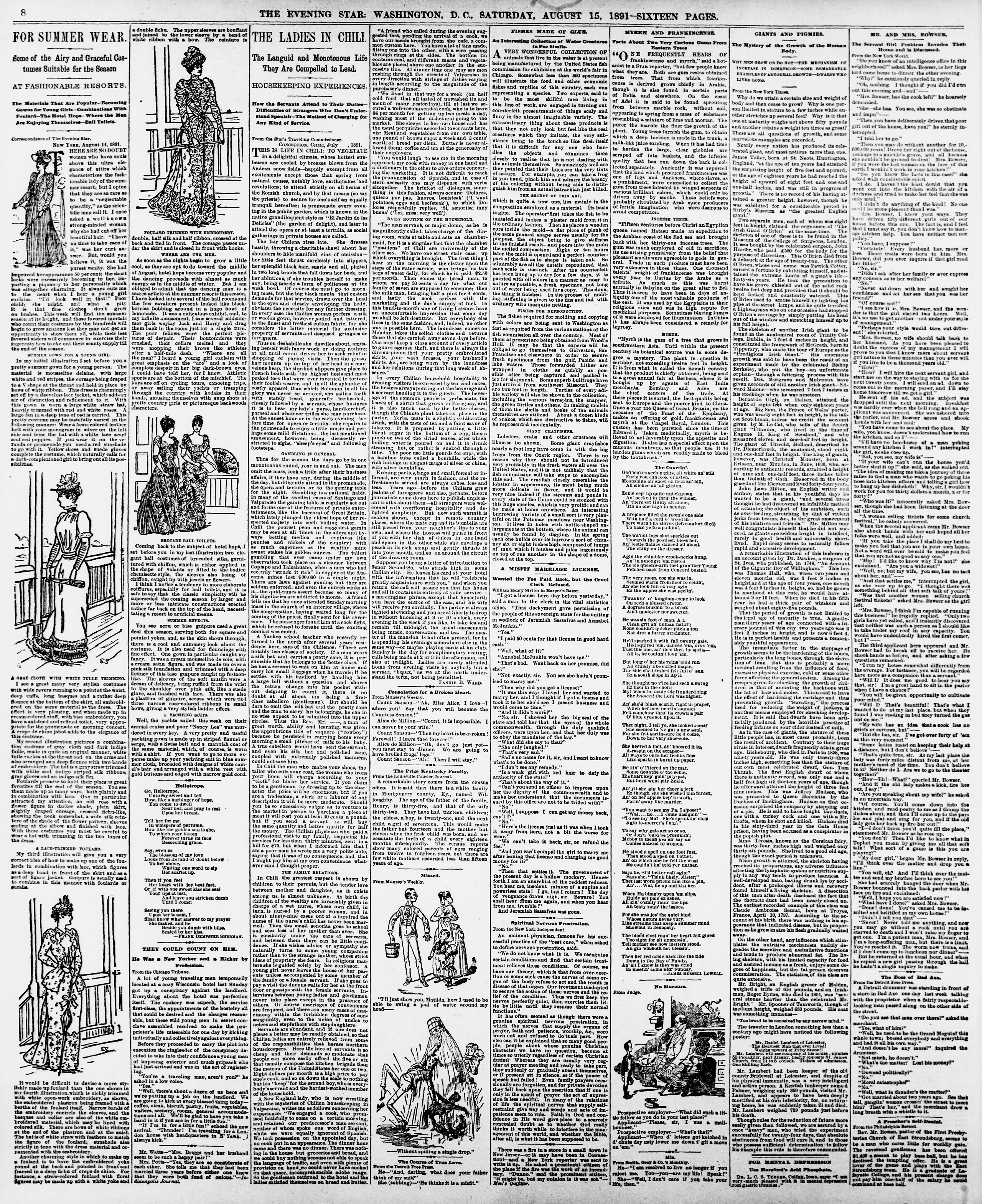 Image 8 of Evening star (Washington, D.C.), August 15, 1891