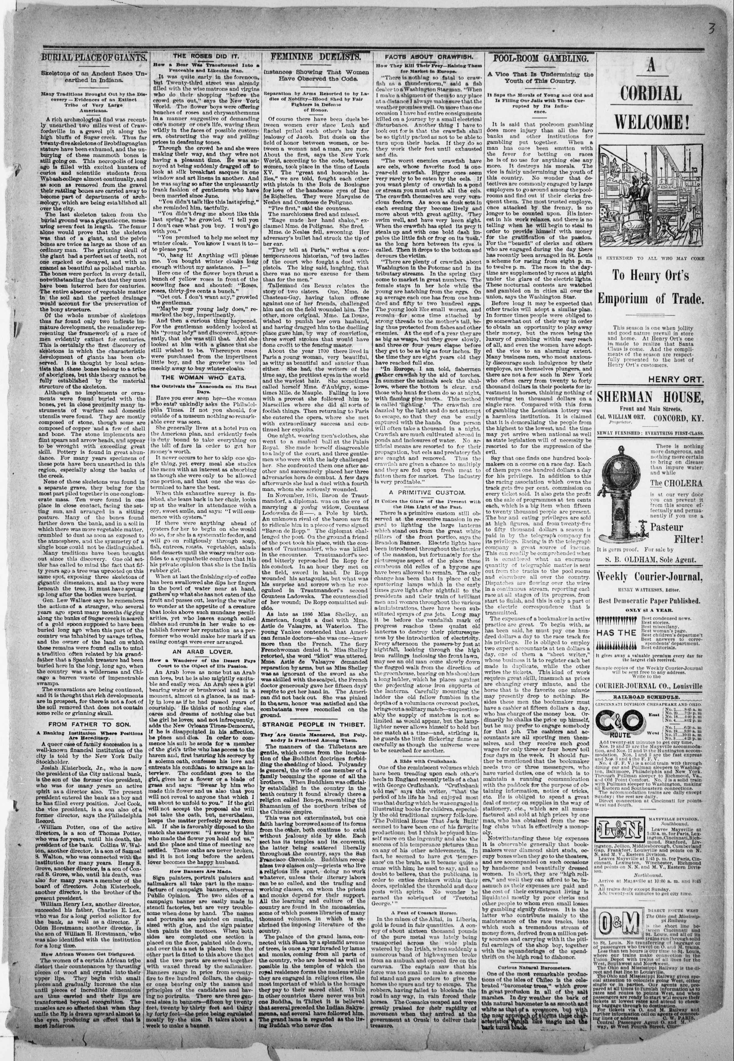 Image 3 of Daily public ledger (Maysville, Ky.), February 1, 1893