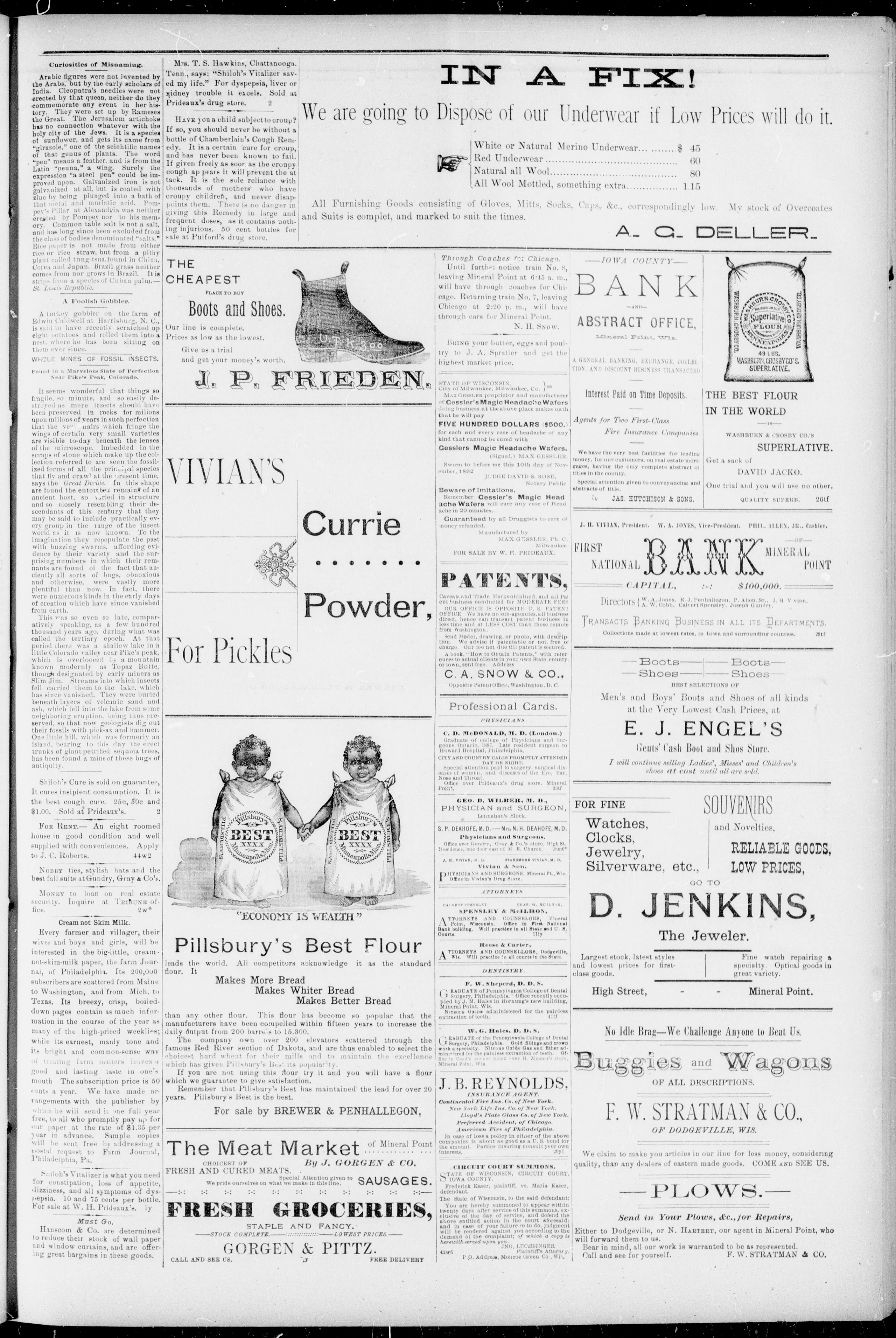 Image 5 of Mineral Point tribune (Mineral Point, Wis.), November 18, 1893