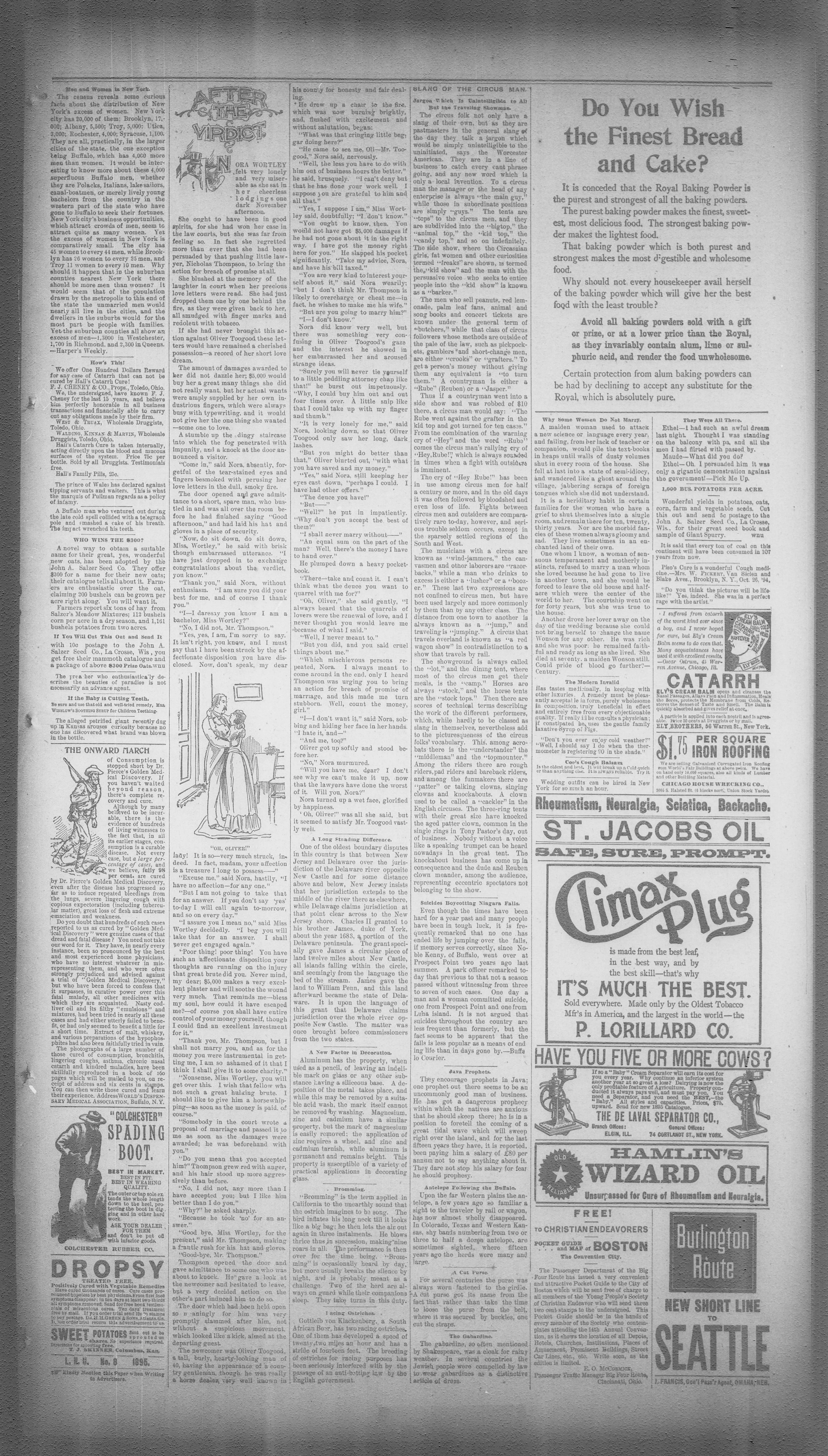 Image 7 of The Goodland republic (Goodland, Kan.), March 1, 1895