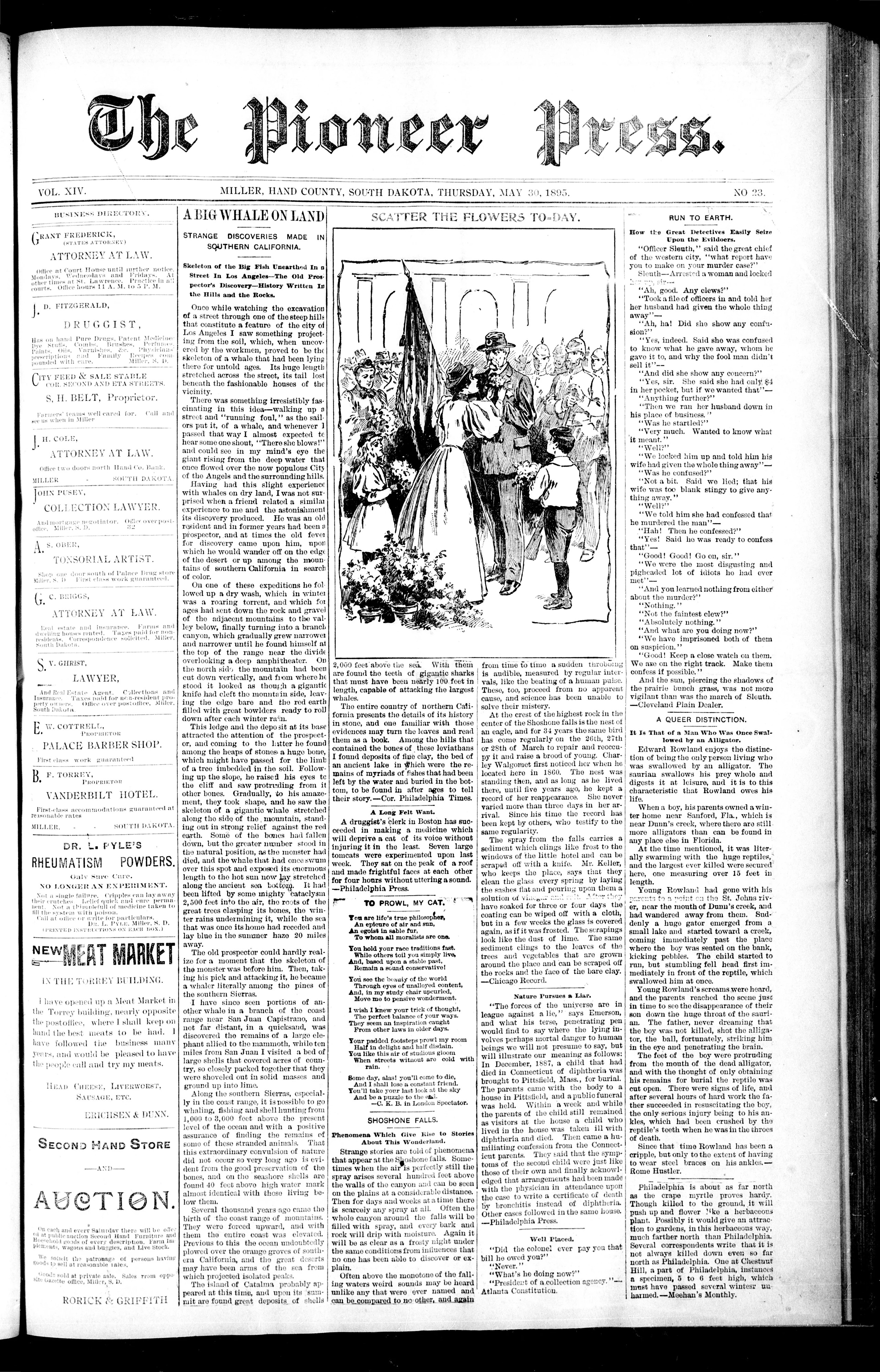 Image 1 of The pioneer press (Miller, Hand County, S.D.), May 30, 1895