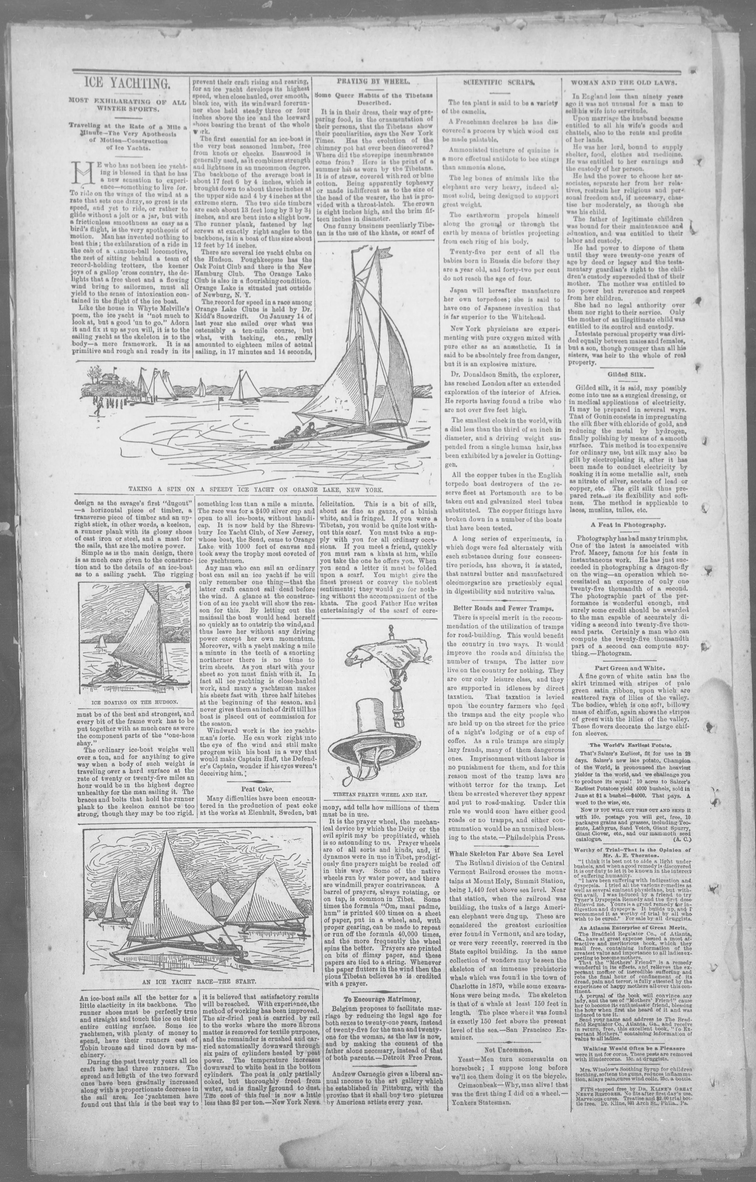 Image 6 of The Camden chronicle (Camden, Tenn.), February 14, 1896