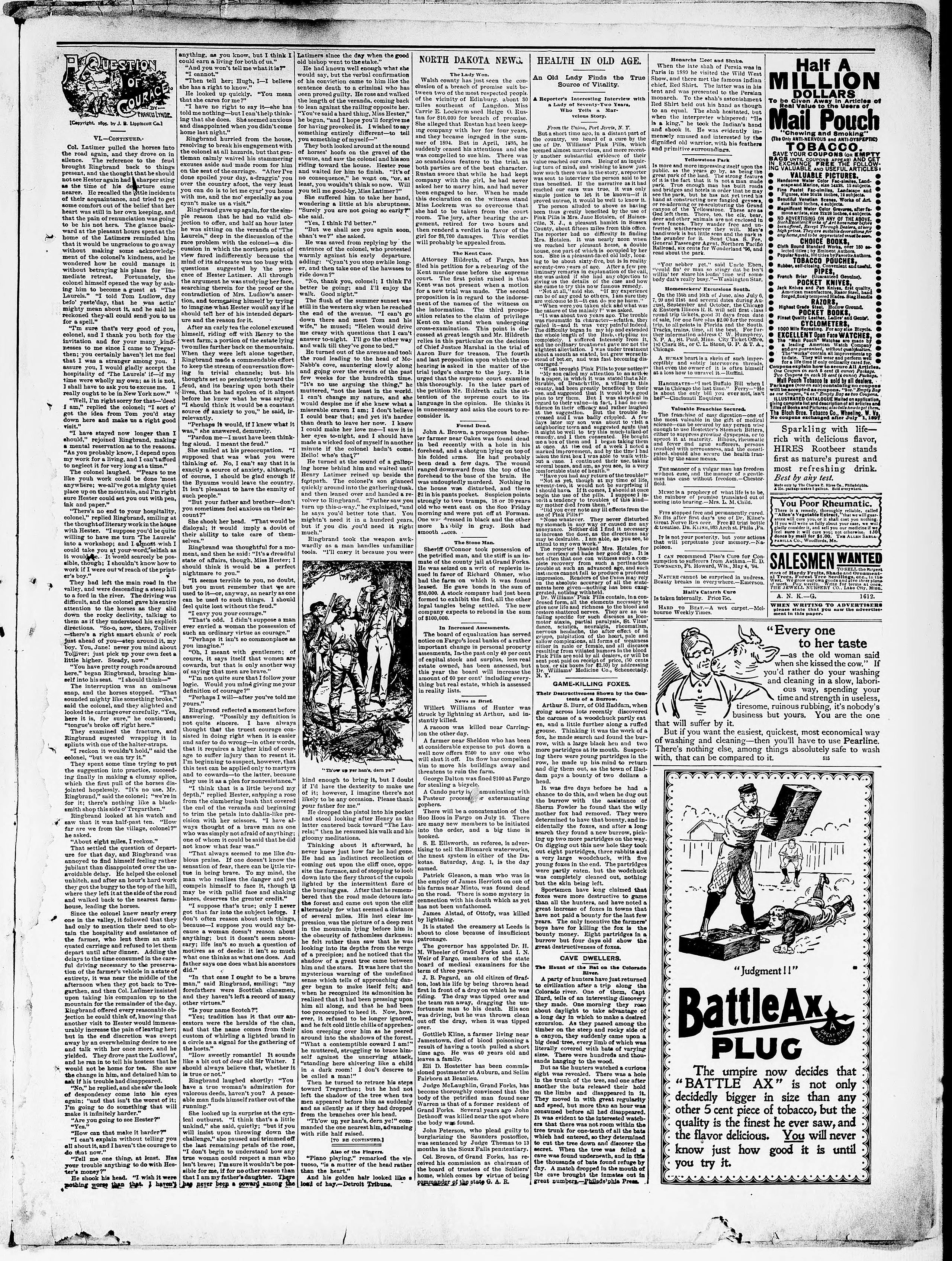 Image 3 of The Hope pioneer (Hope, N.D.), July 9, 1896