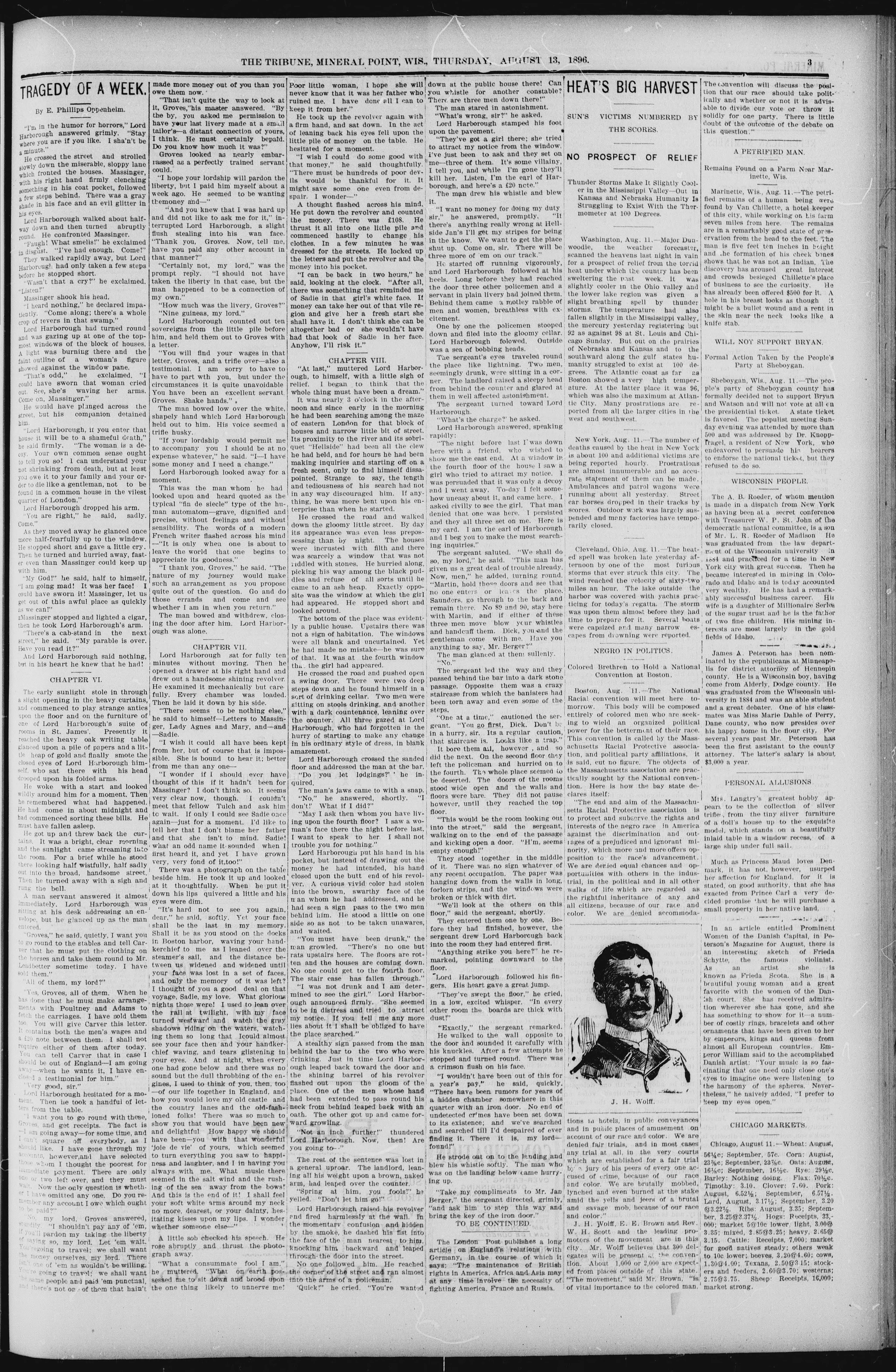 Image 3 of Mineral Point tribune (Mineral Point, Wis.), August 13, 1896