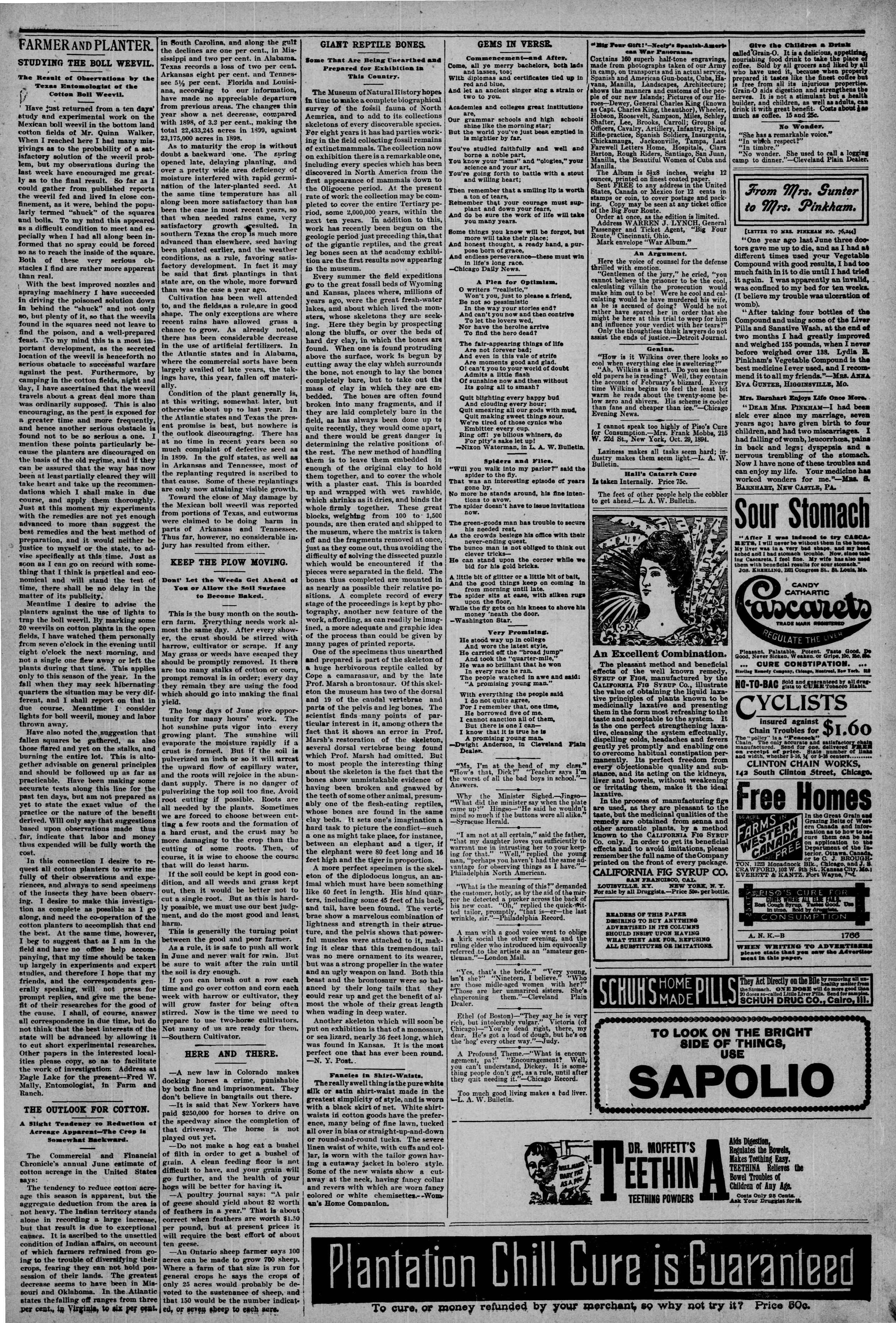 Image 3 of The Colfax chronicle (Colfax, Grant Parish, La.), July 29, 1899