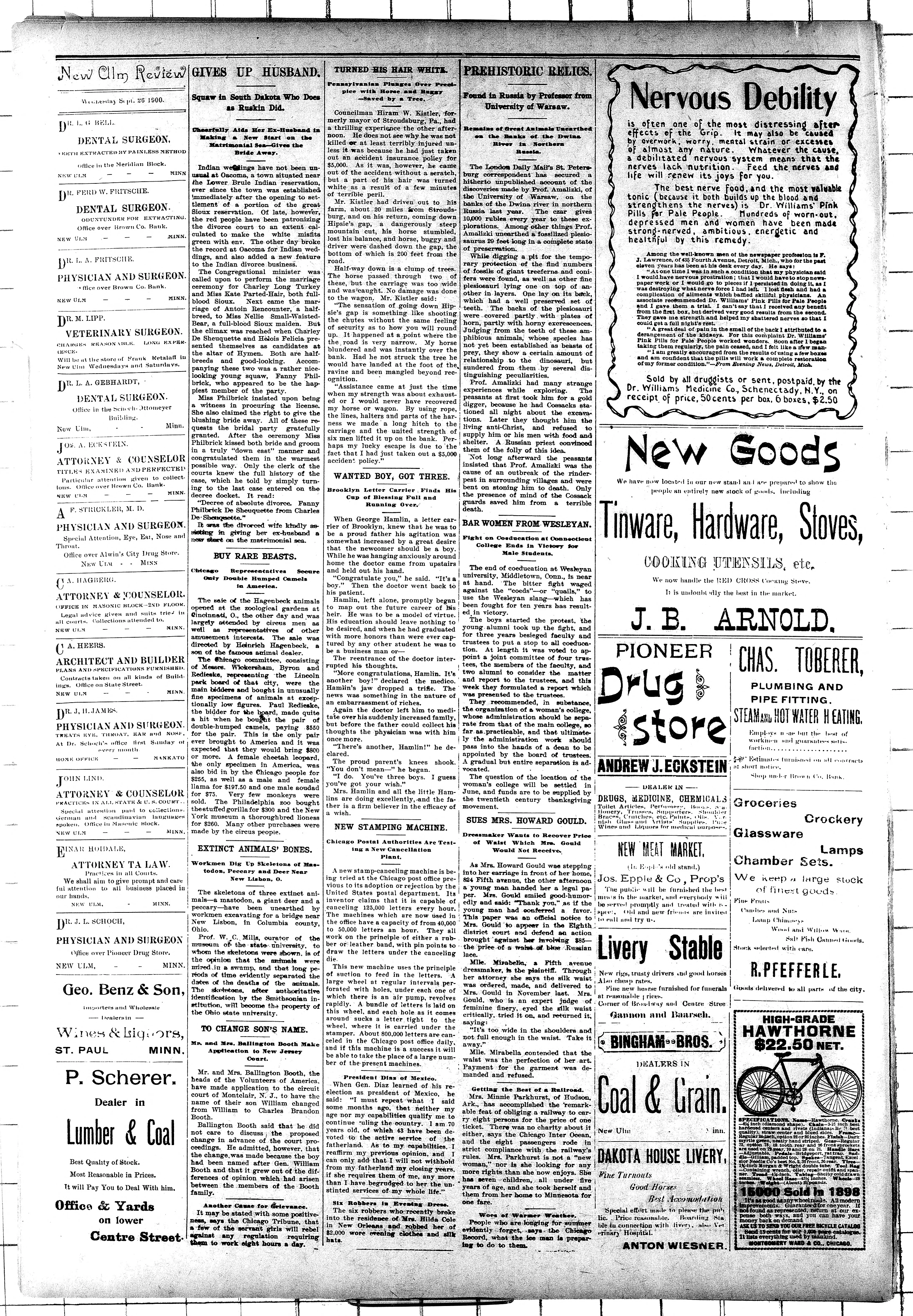 Image 2 of New Ulm review (New Ulm, Brown County, Minn.), September 26, 1900