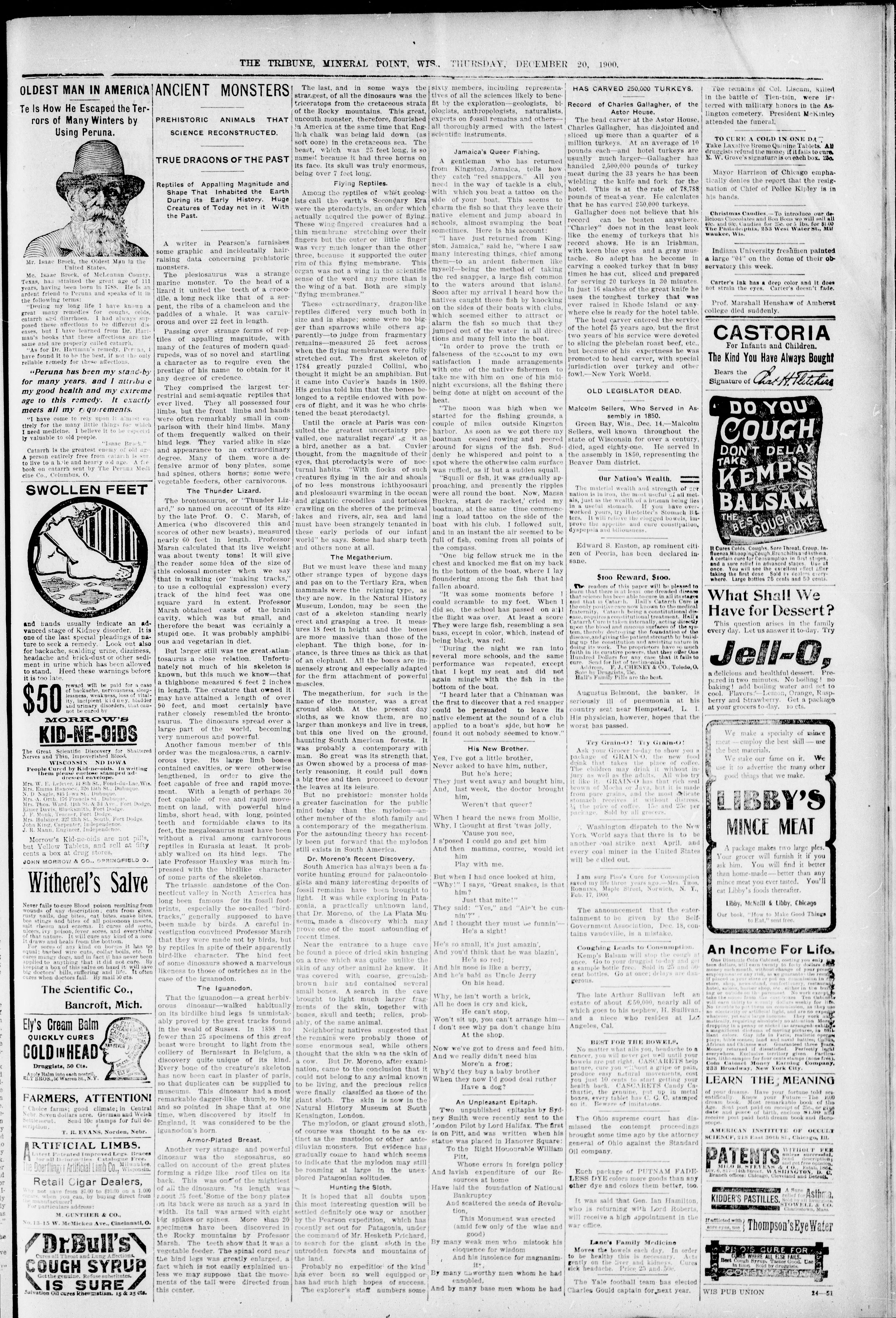 Image 7 of Mineral Point tribune (Mineral Point, Wis.), December 20, 1900