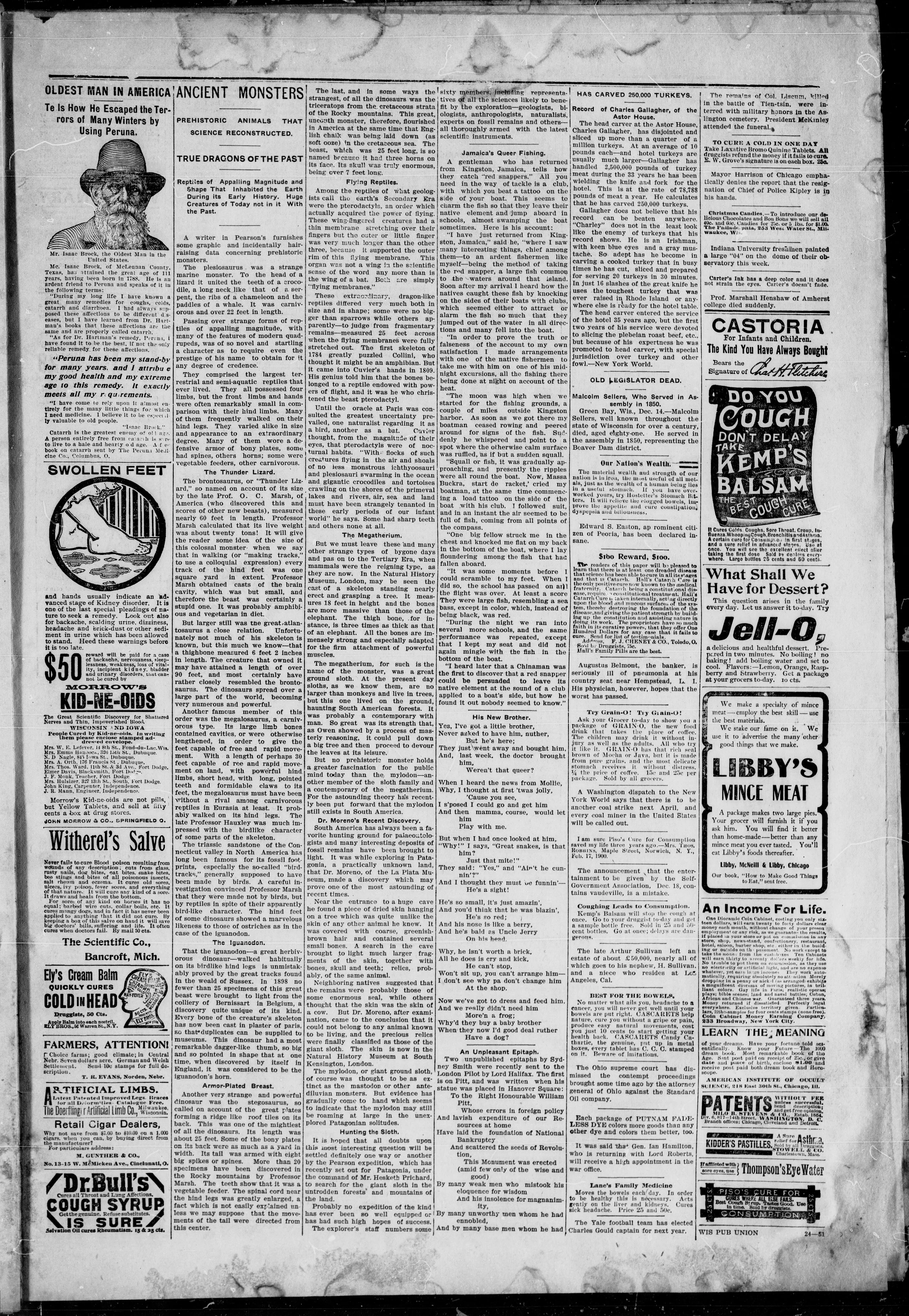 Image 7 of Northern Wisconsin advertiser (Wabeno, Wis.), December 20, 1900