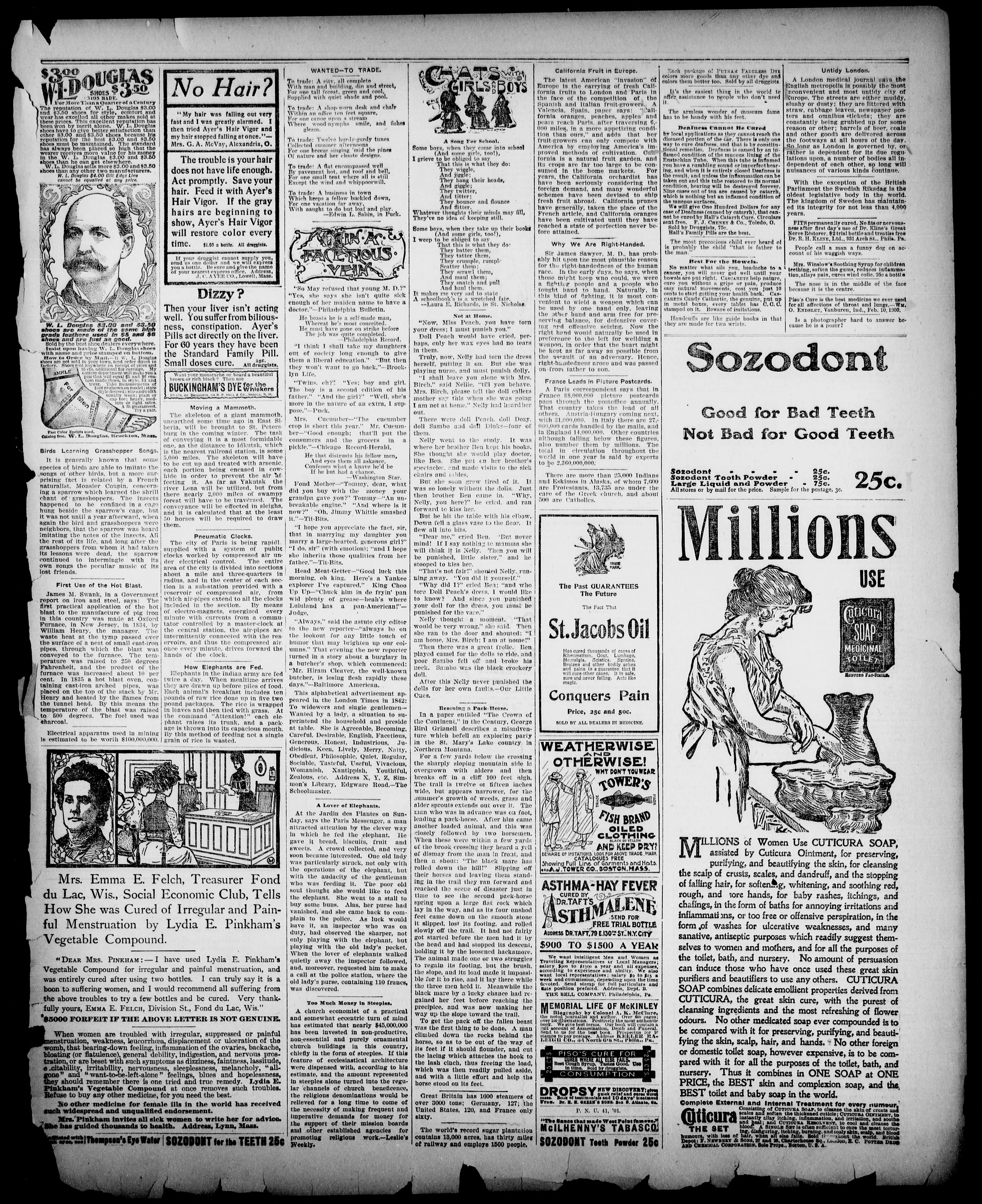 Image 7 of The star (Reynoldsville, Pa.), October 9, 1901