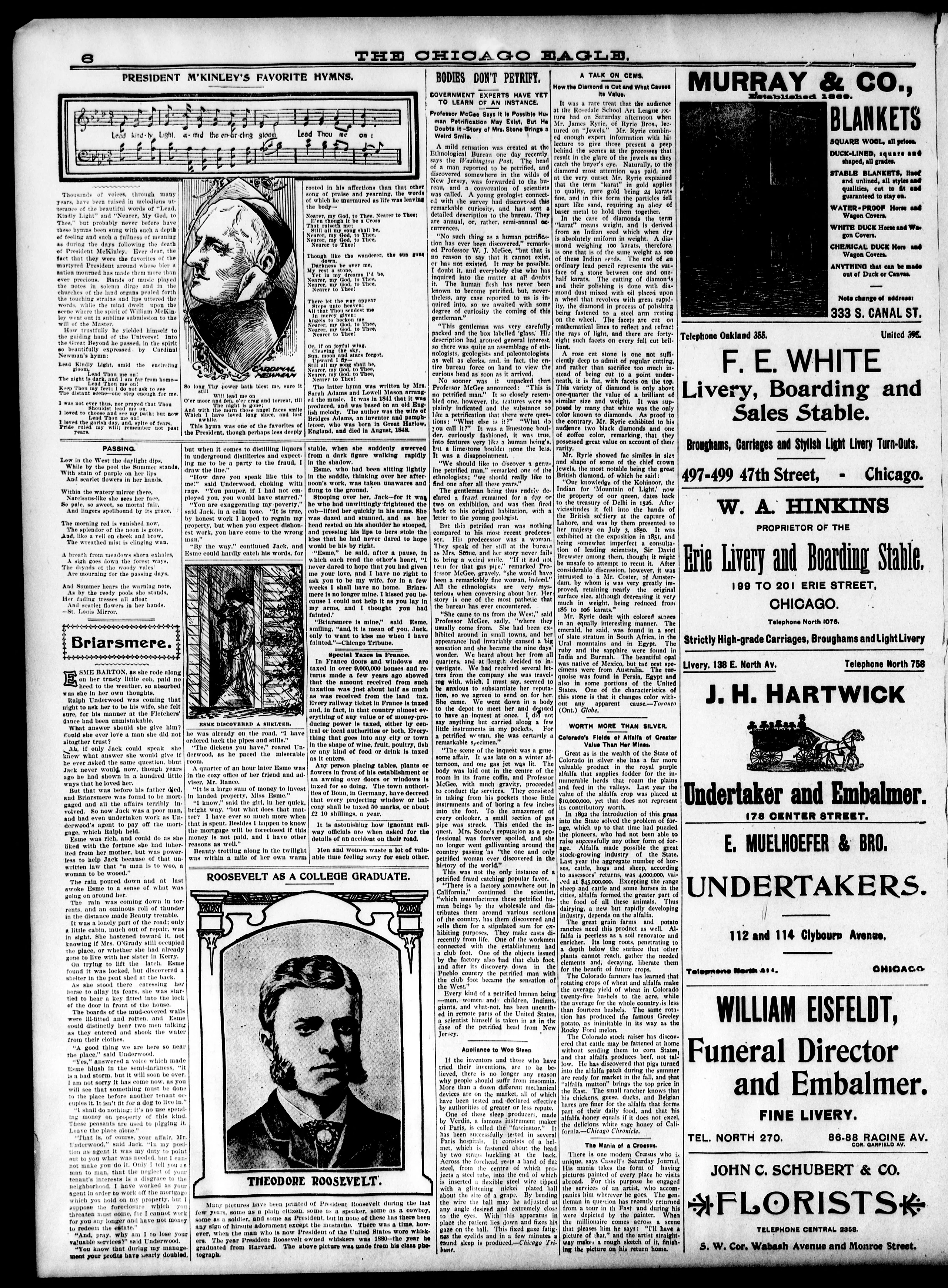 Image 6 of Chicago eagle (Chicago, Ill.), October 19, 1901
