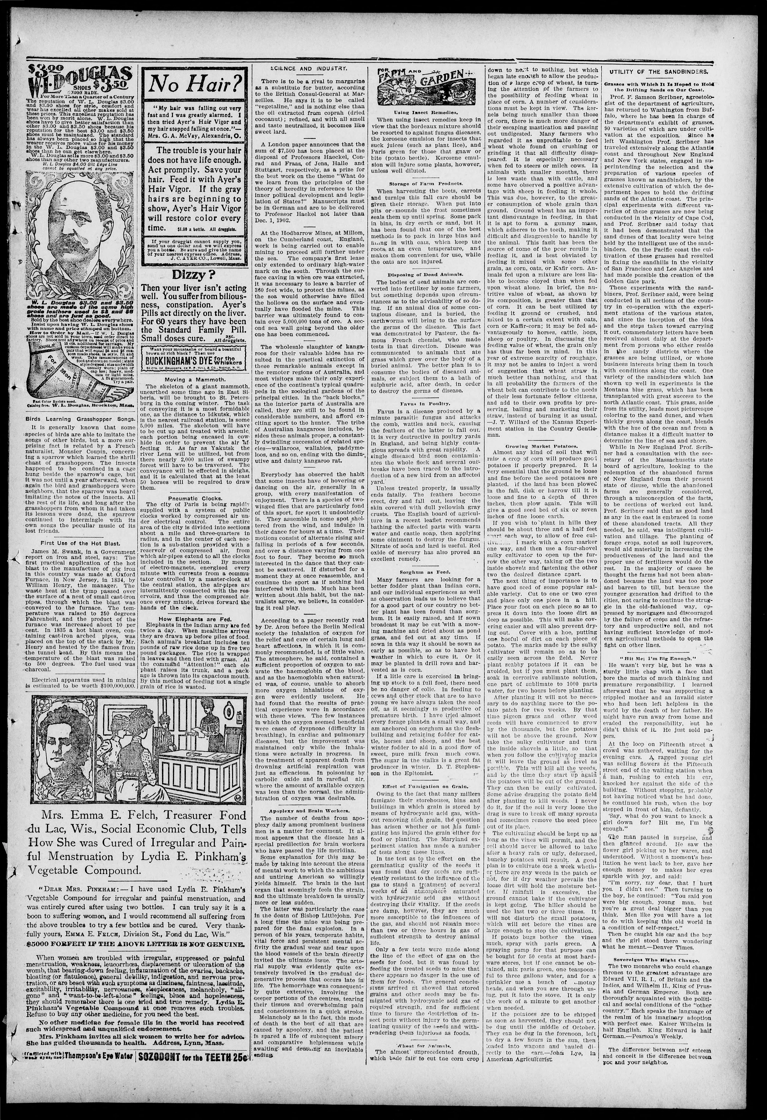 Image 3 of Freeland tribune (Freeland, Pa.), December 2, 1901