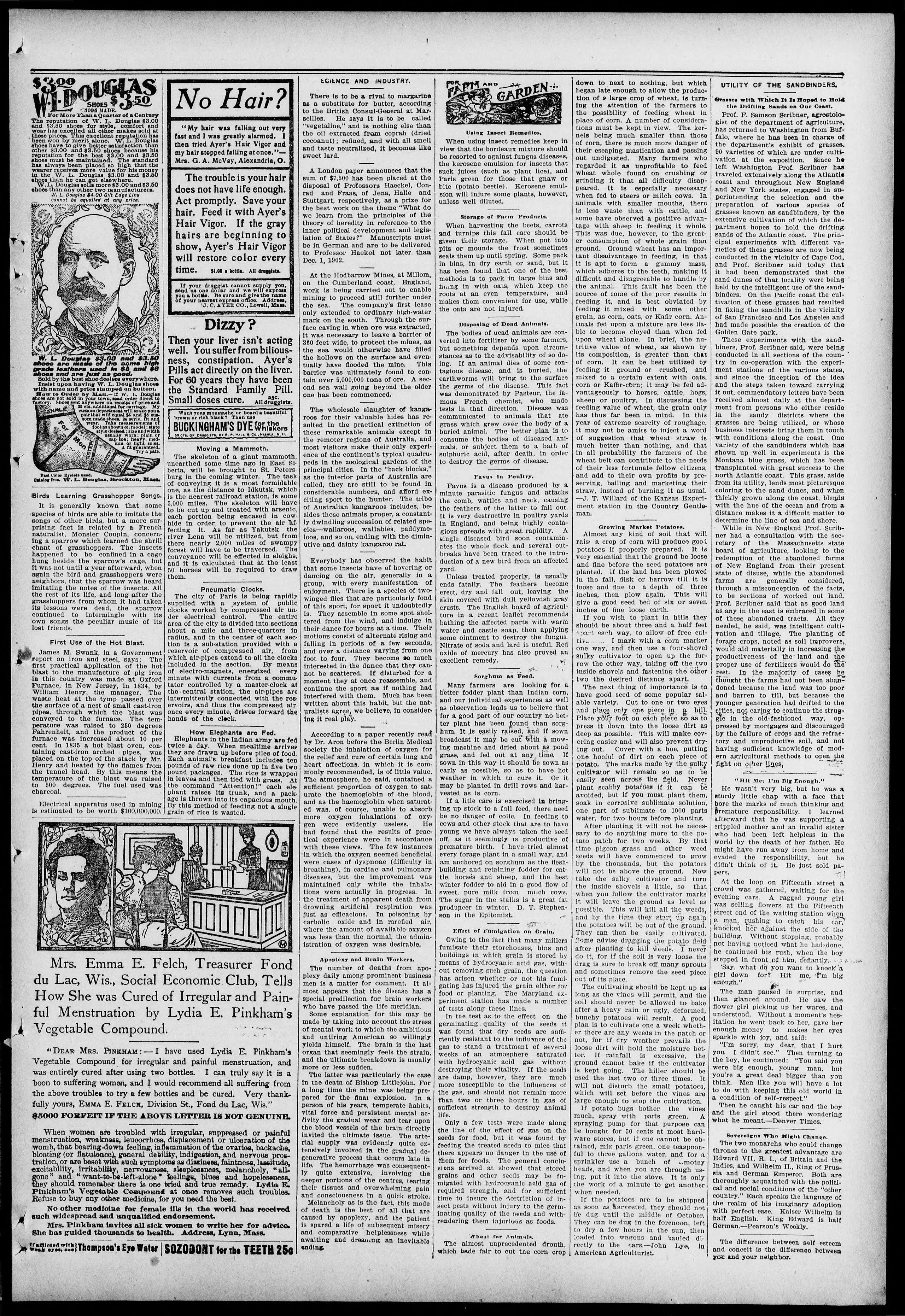 Image 3 of Freeland tribune (Freeland, Pa.), February 3, 1902