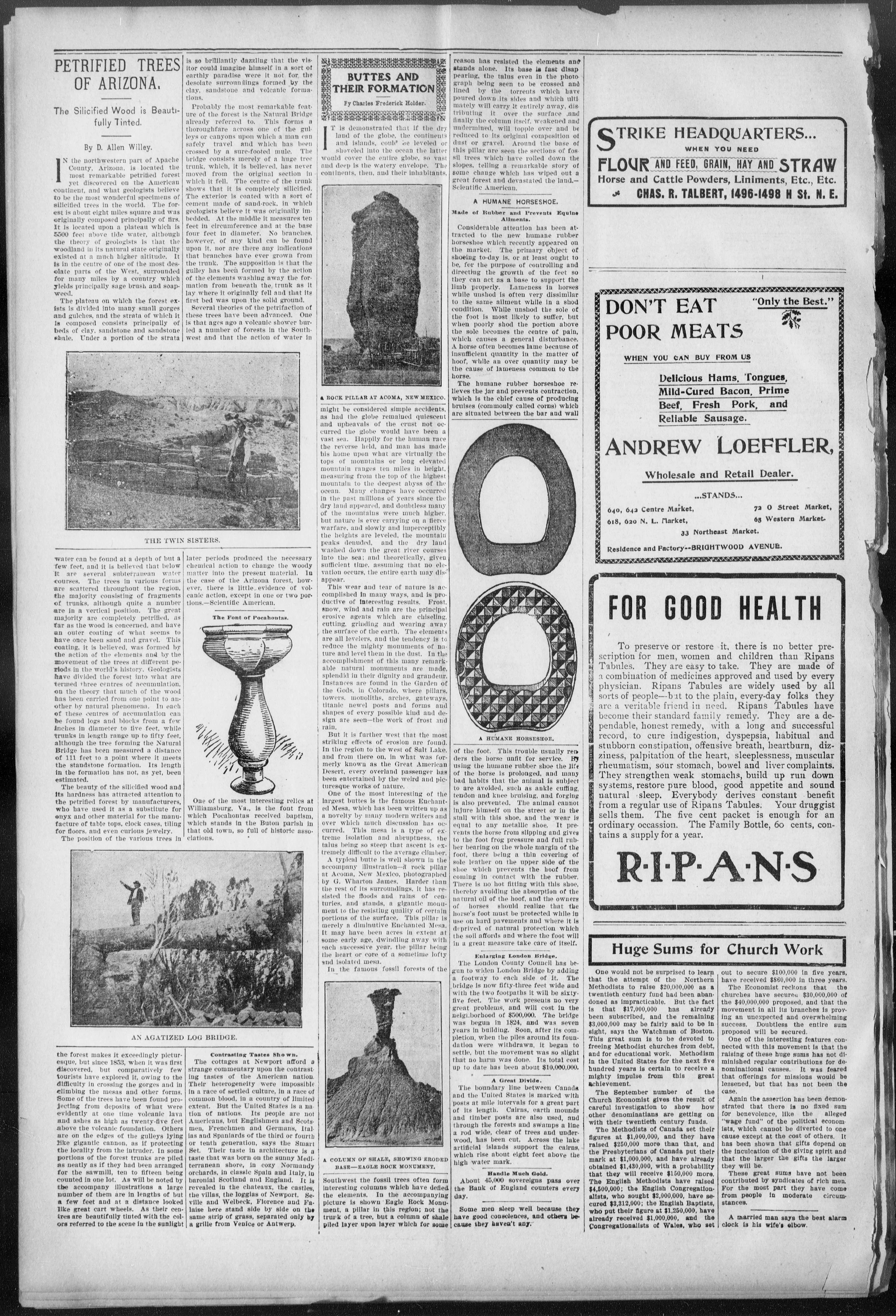 Image 8 of The suburban citizen (Washington, D.C.), November 15, 1902