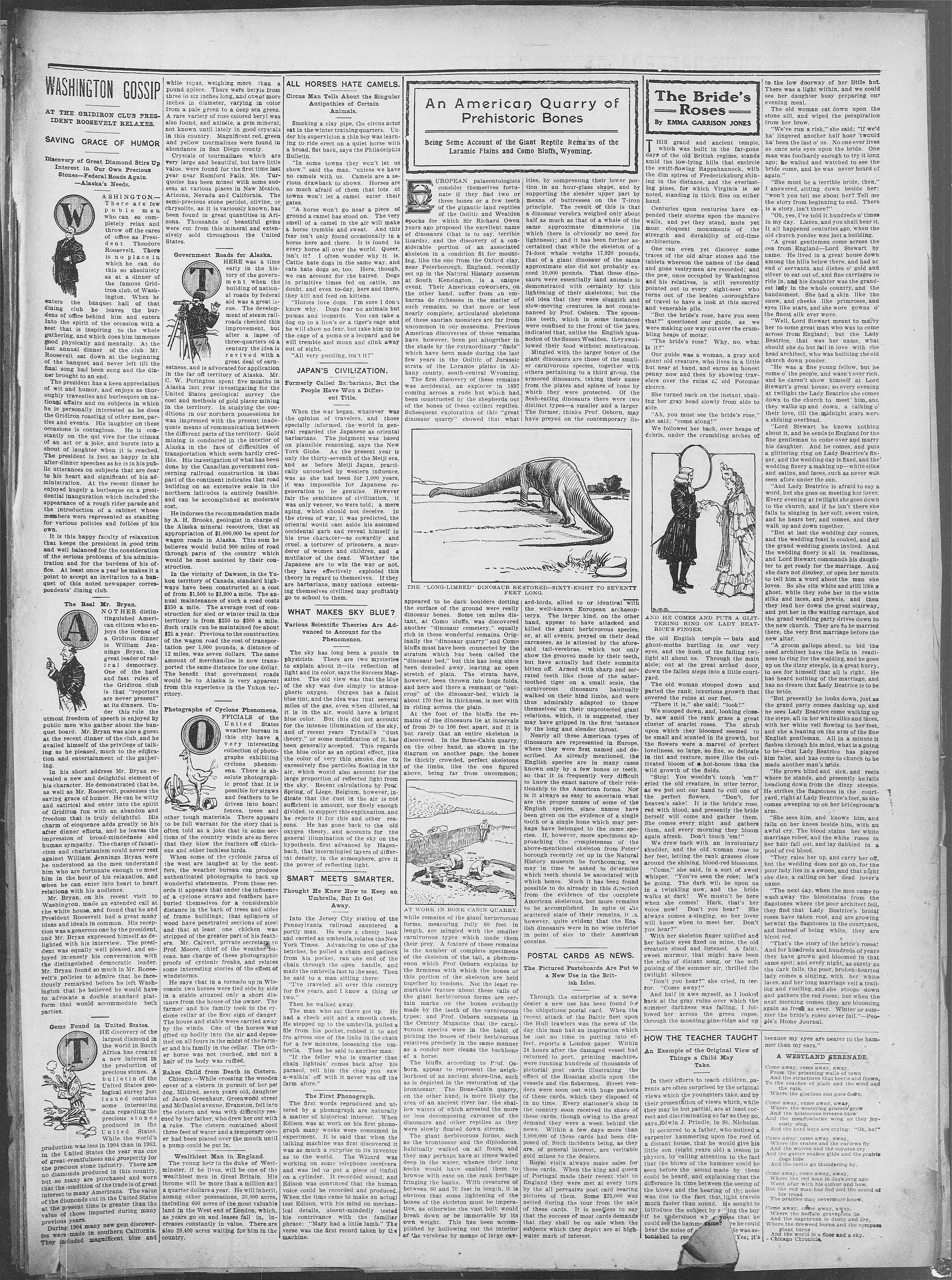 Image 7 of The Donaldsonville chief (Donaldsonville, La.), March 4, 1905